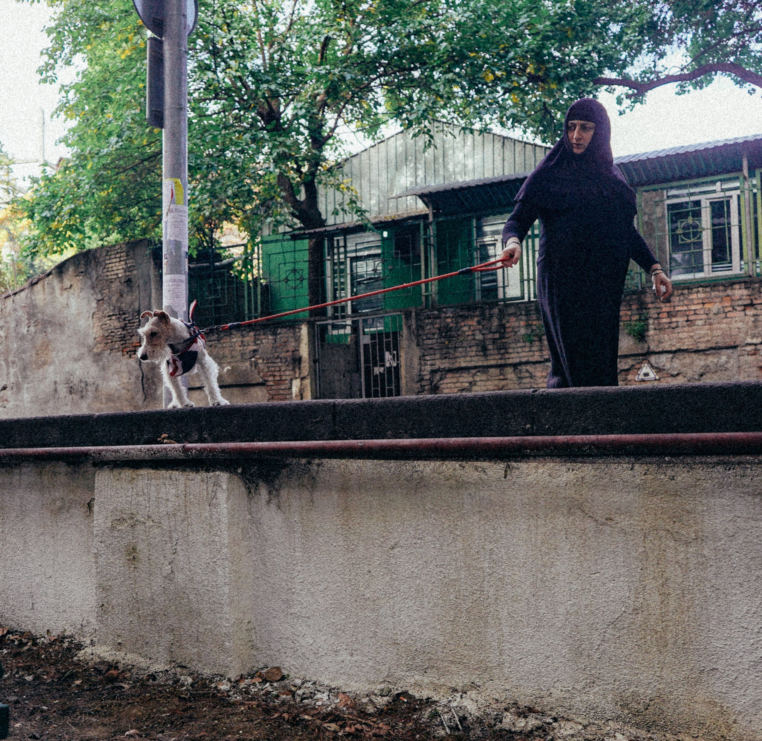 ГРУЗИЯ. Стрит-фотография, полная абсурда, идиотизма и красоты