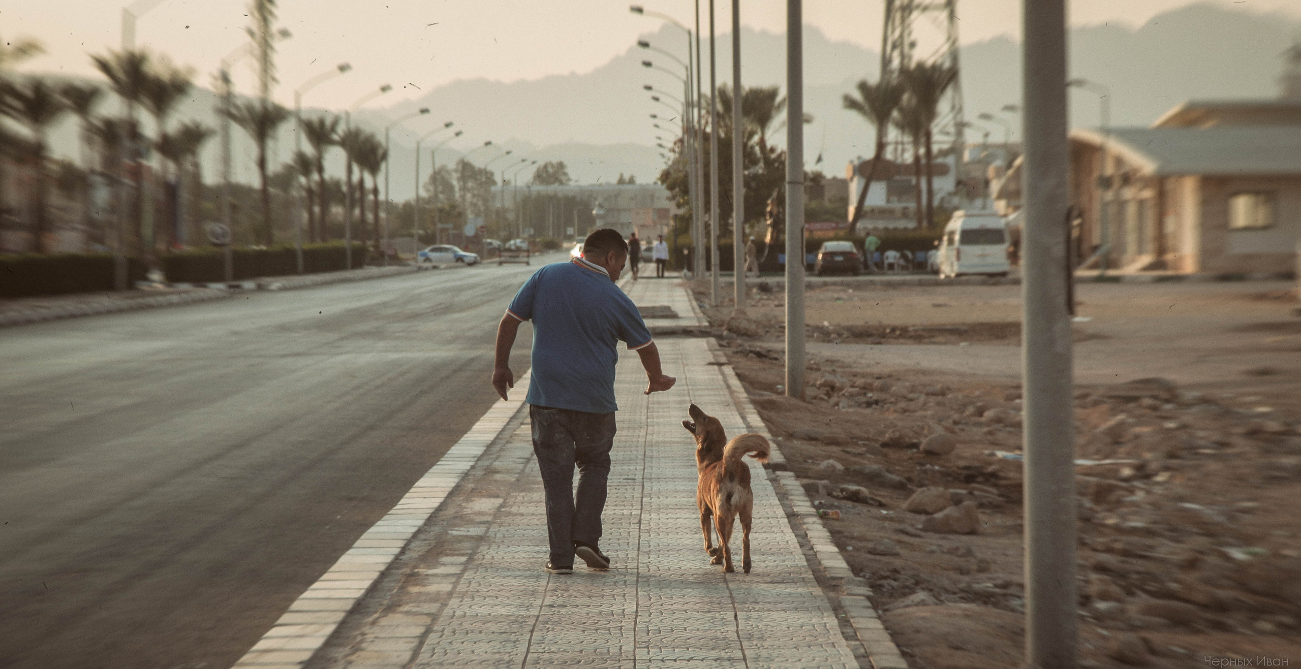 ЕГИПЕТ. Стрит-фотография, полная абсурда, идиотизма и красоты