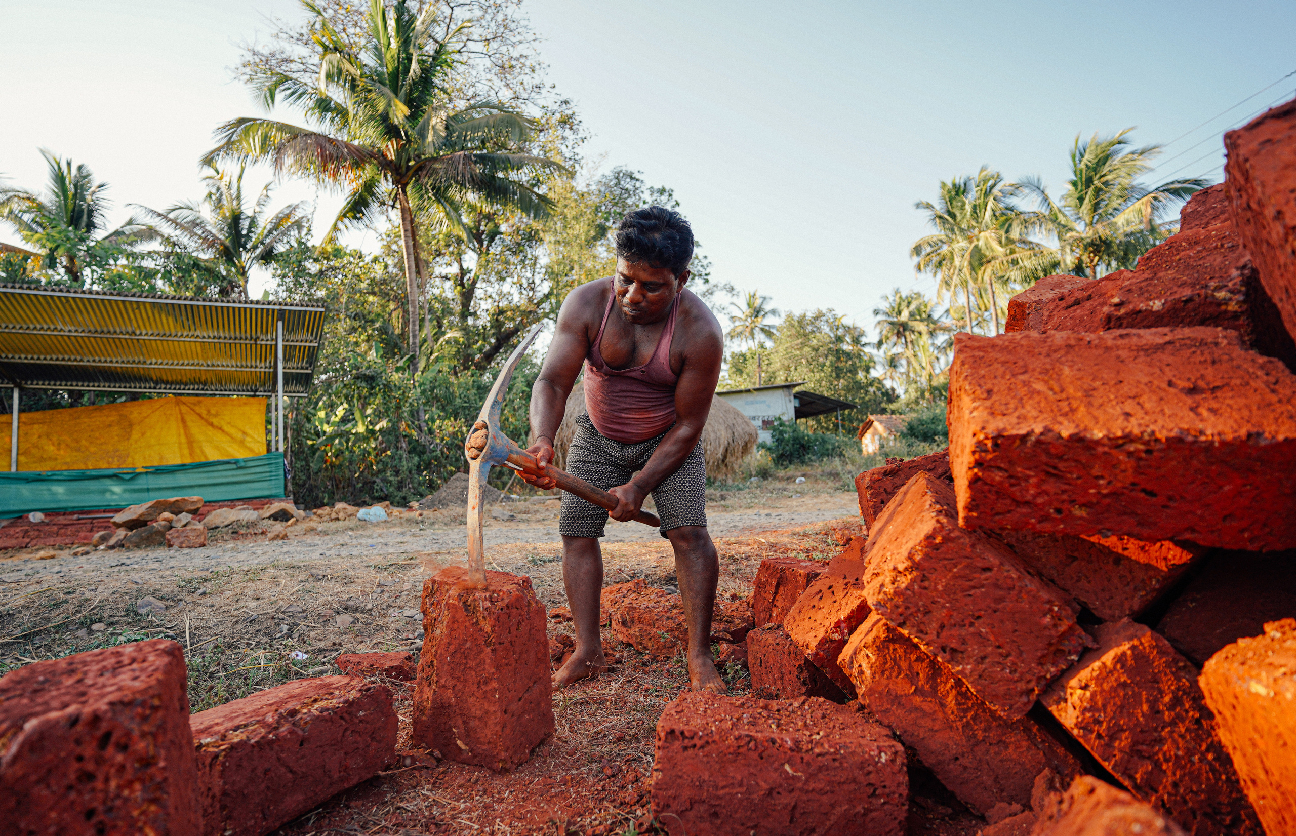 ИНДИЯ 2020. Стрит-фотография, полная абсурда, идиотизма и красоты
