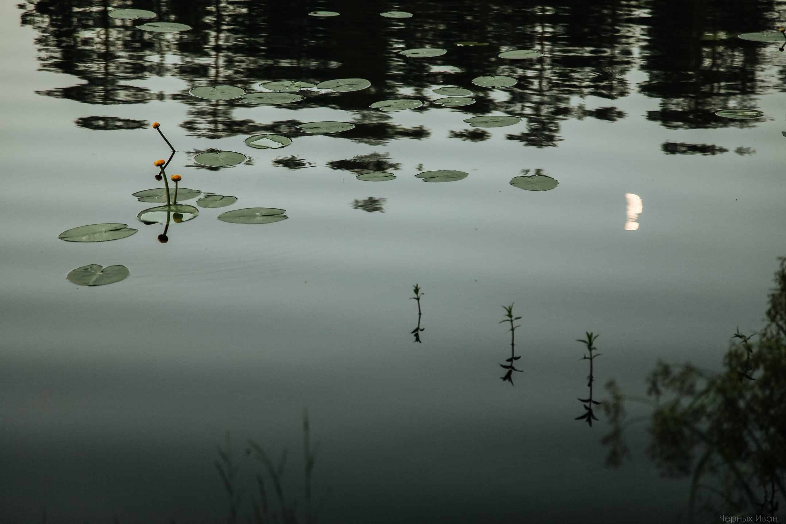 ПЕЙЗАЖИ. Стрит-фотография, полная абсурда, идиотизма и красоты