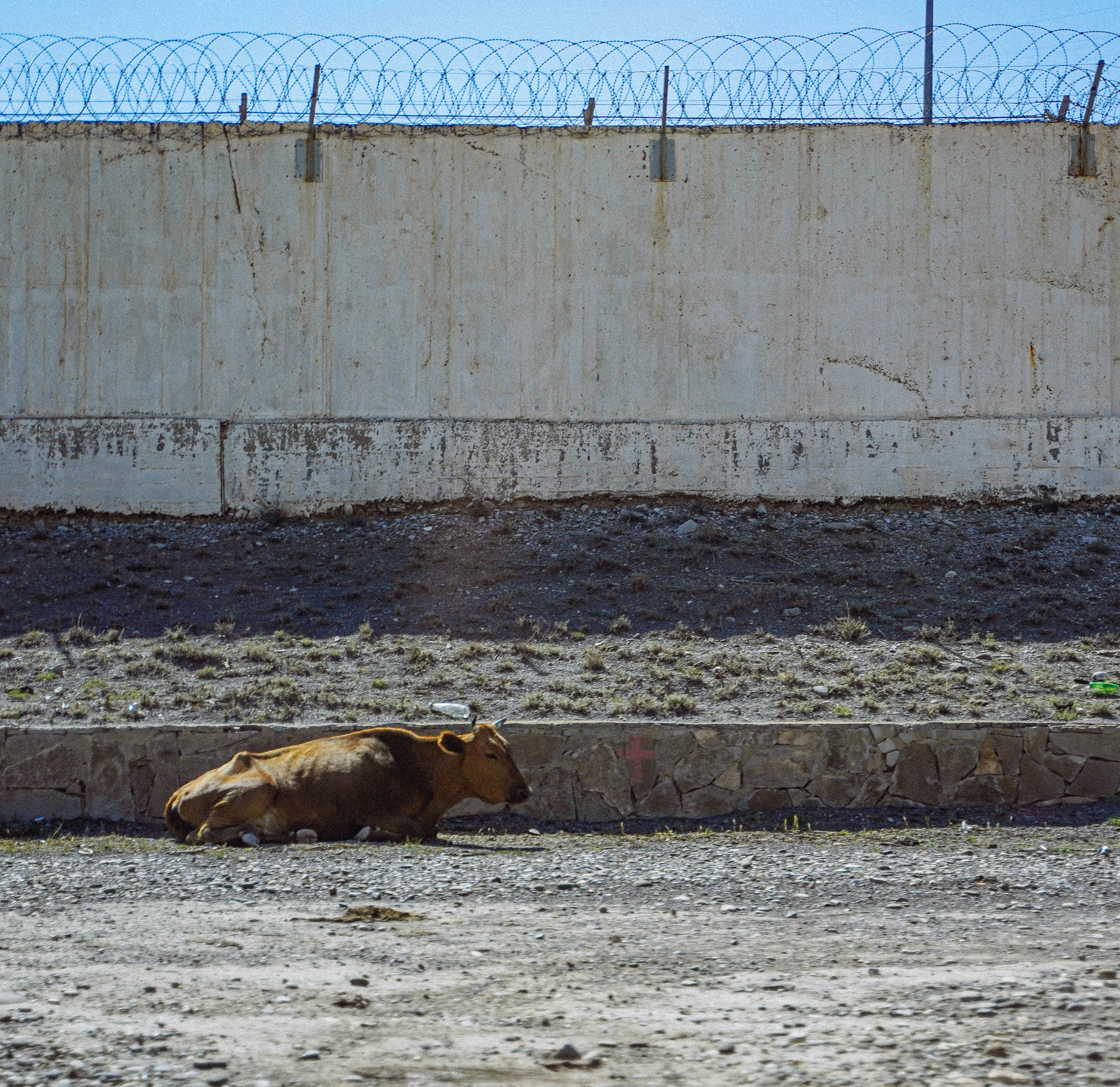 СЕВКАВ. Стрит-фотография, полная абсурда, идиотизма и красоты