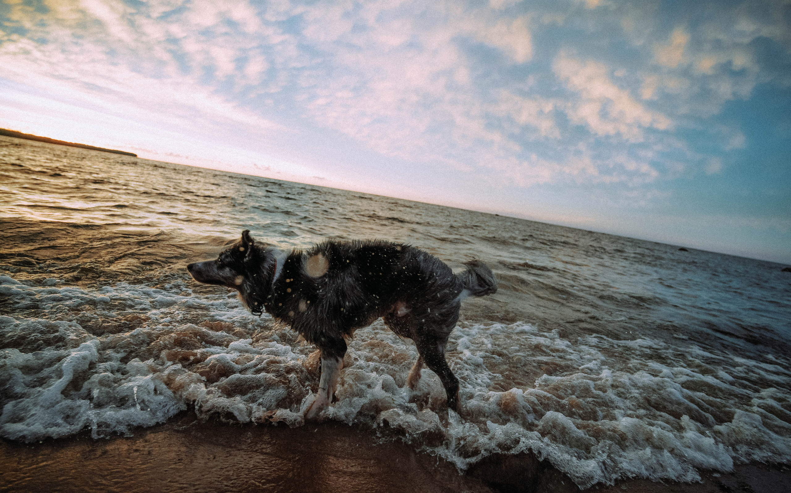 2022. Стрит-фотография, полная абсурда, идиотизма и красоты