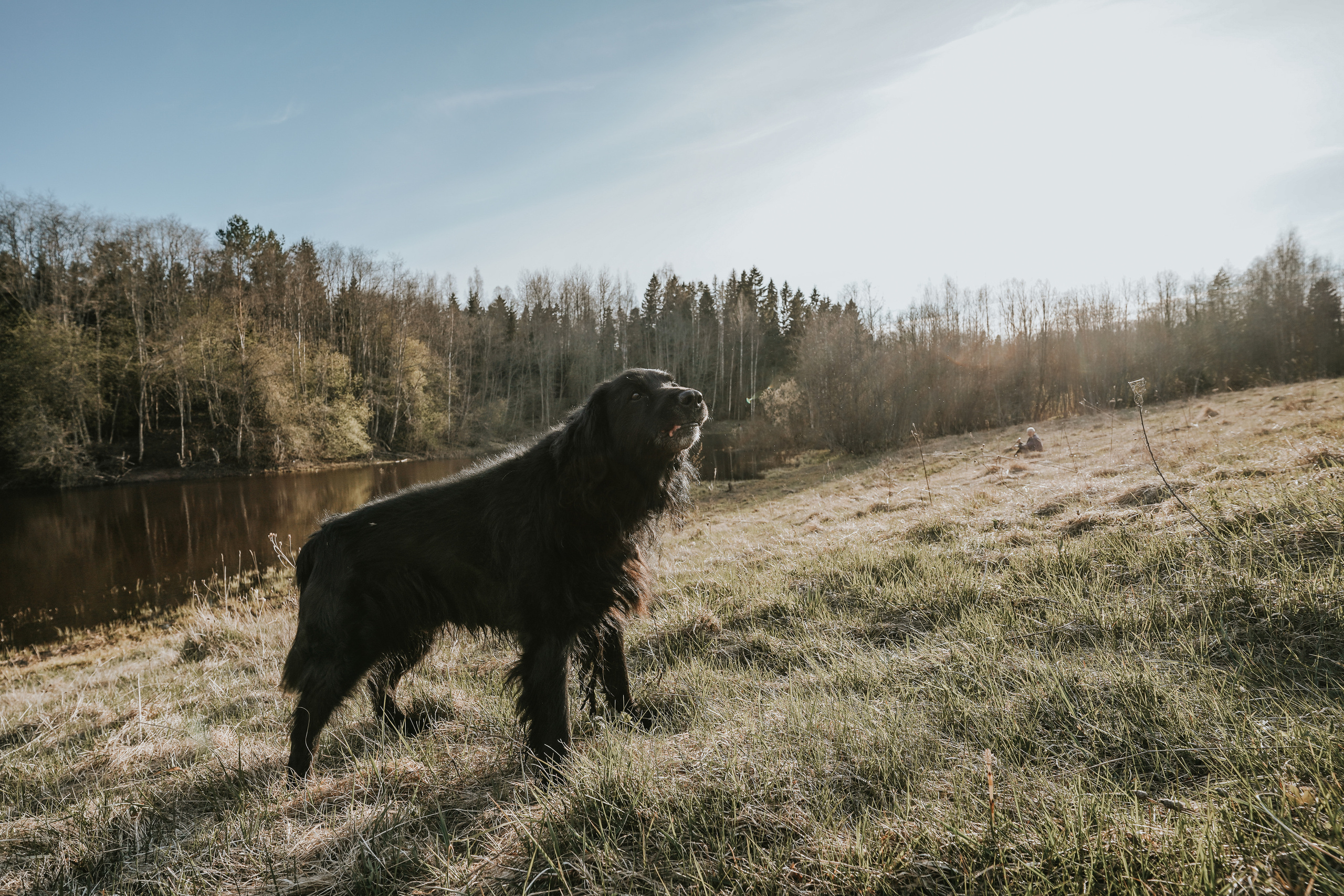2020. Стрит-фотография, полная абсурда, идиотизма и красоты