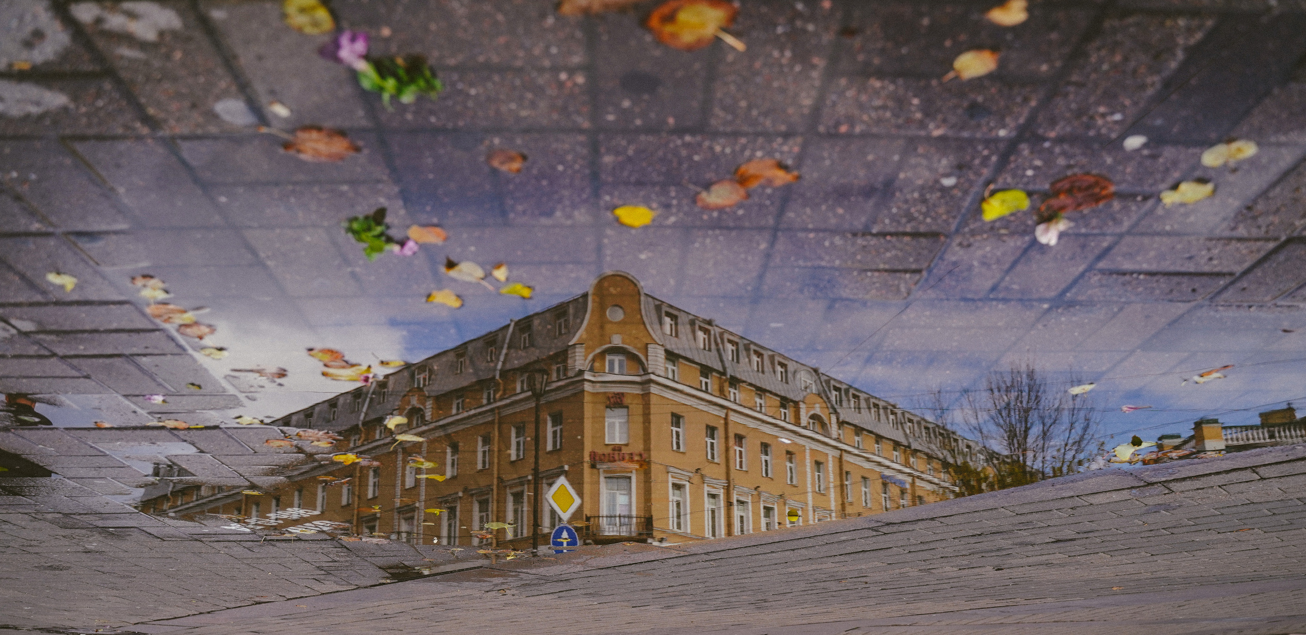 2019. Стрит-фотография, полная абсурда, идиотизма и красоты