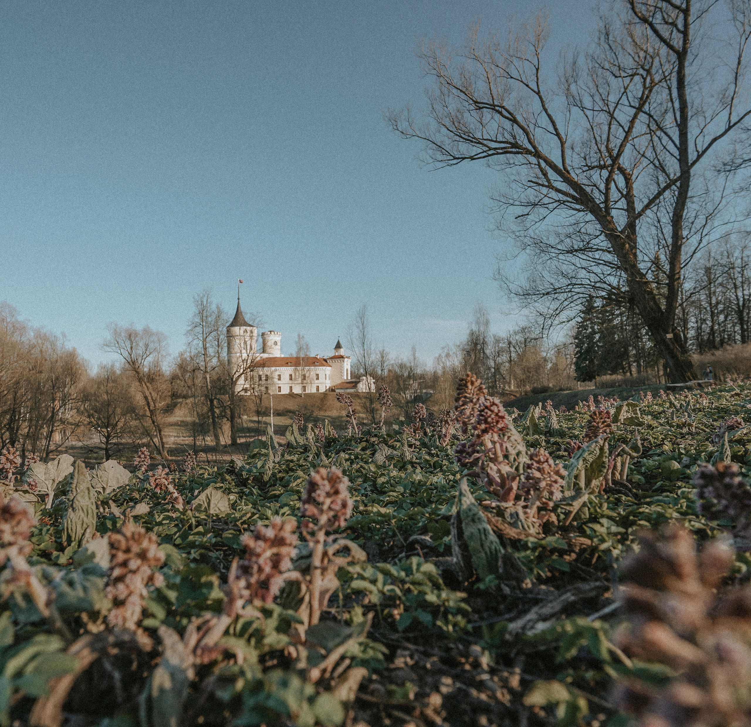 ПЕЙЗАЖИ. Стрит-фотография, полная абсурда, идиотизма и красоты