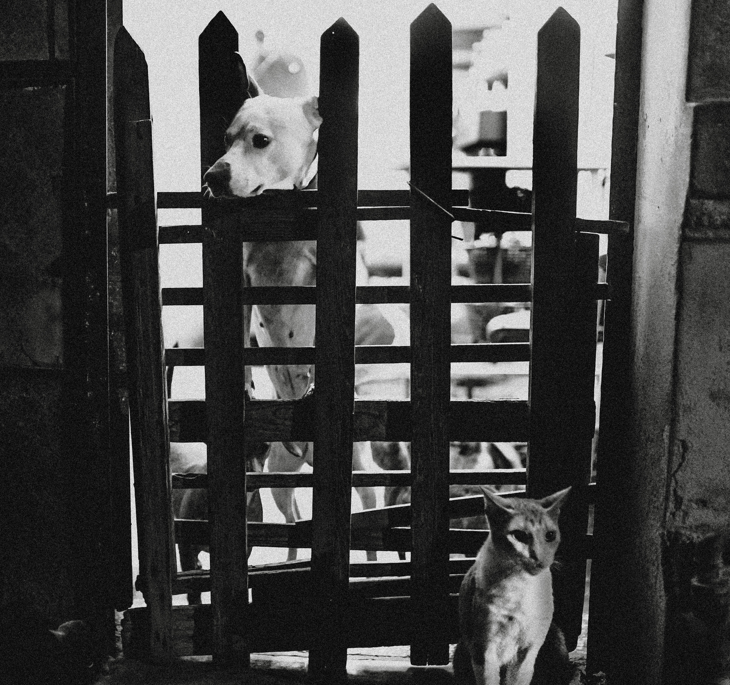 КУБА. Стрит-фотография, полная абсурда, идиотизма и красоты