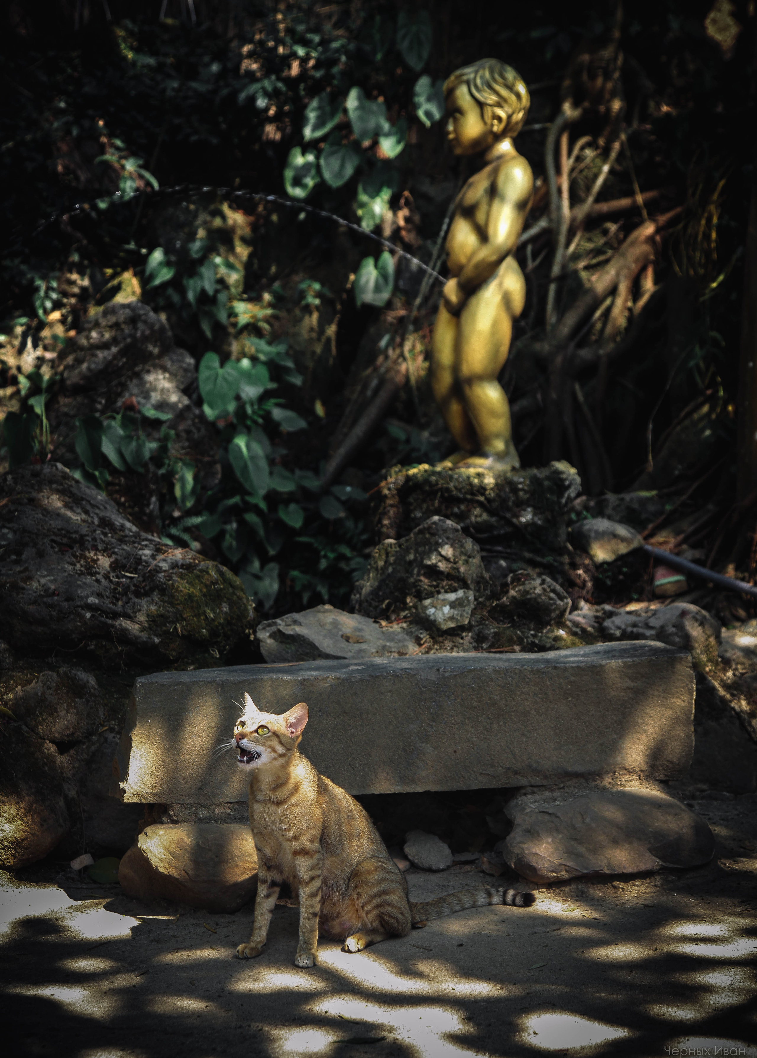 ВЬЕТНАМ. Стрит-фотография, полная абсурда, идиотизма и красоты