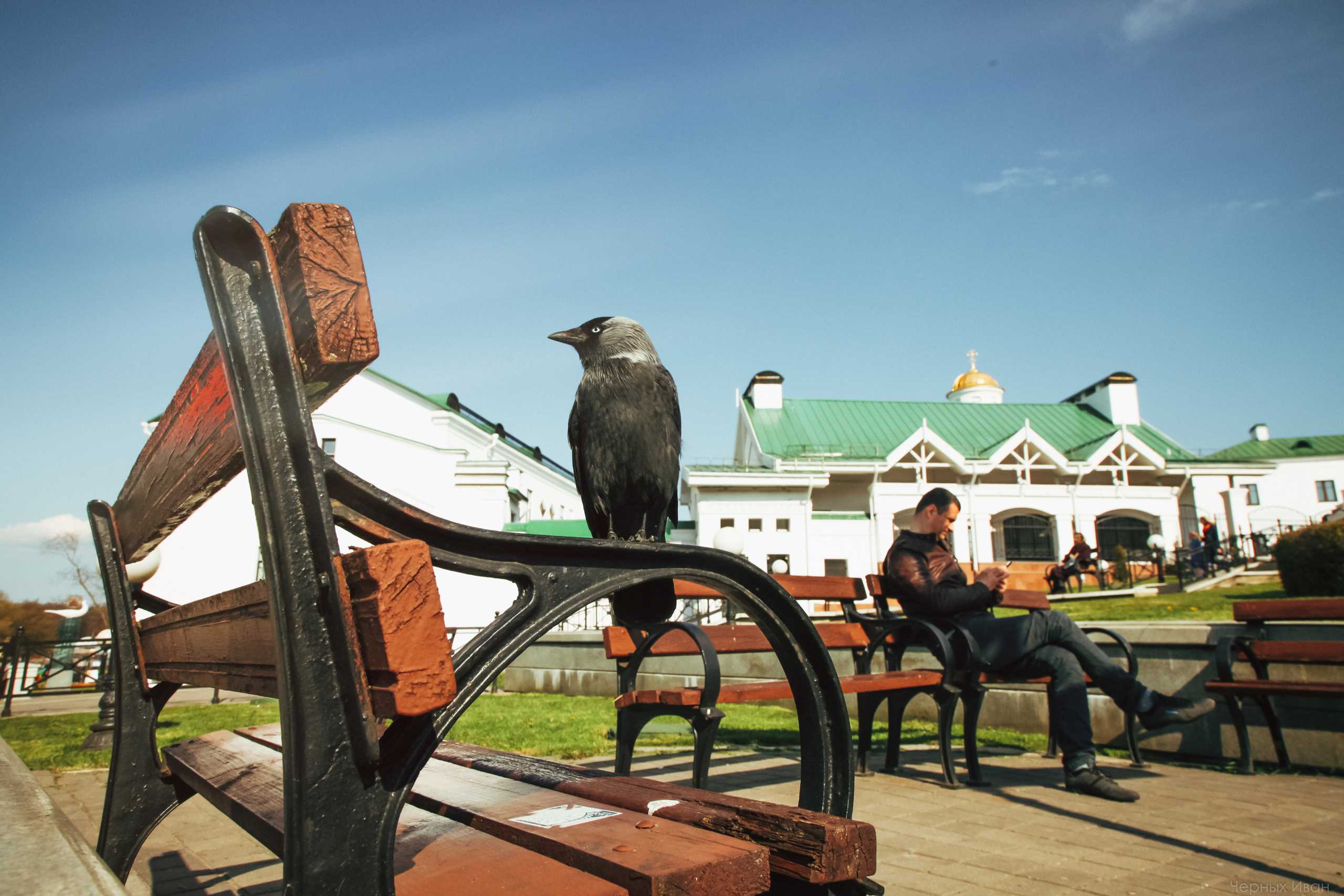 МИНСК. Стрит-фотография, полная абсурда, идиотизма и красоты