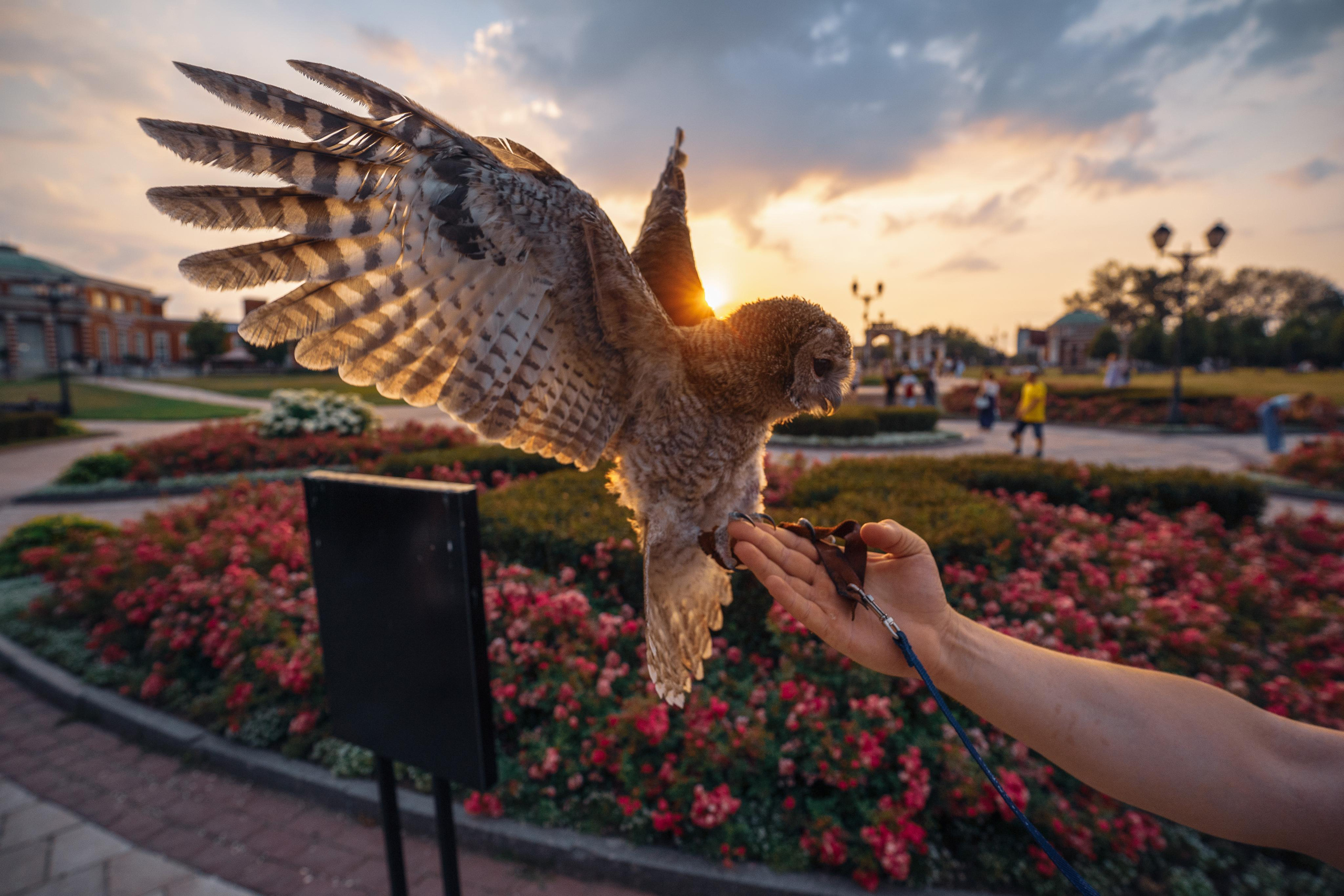 BEST OF. Стрит-фотография, полная абсурда, идиотизма и красоты