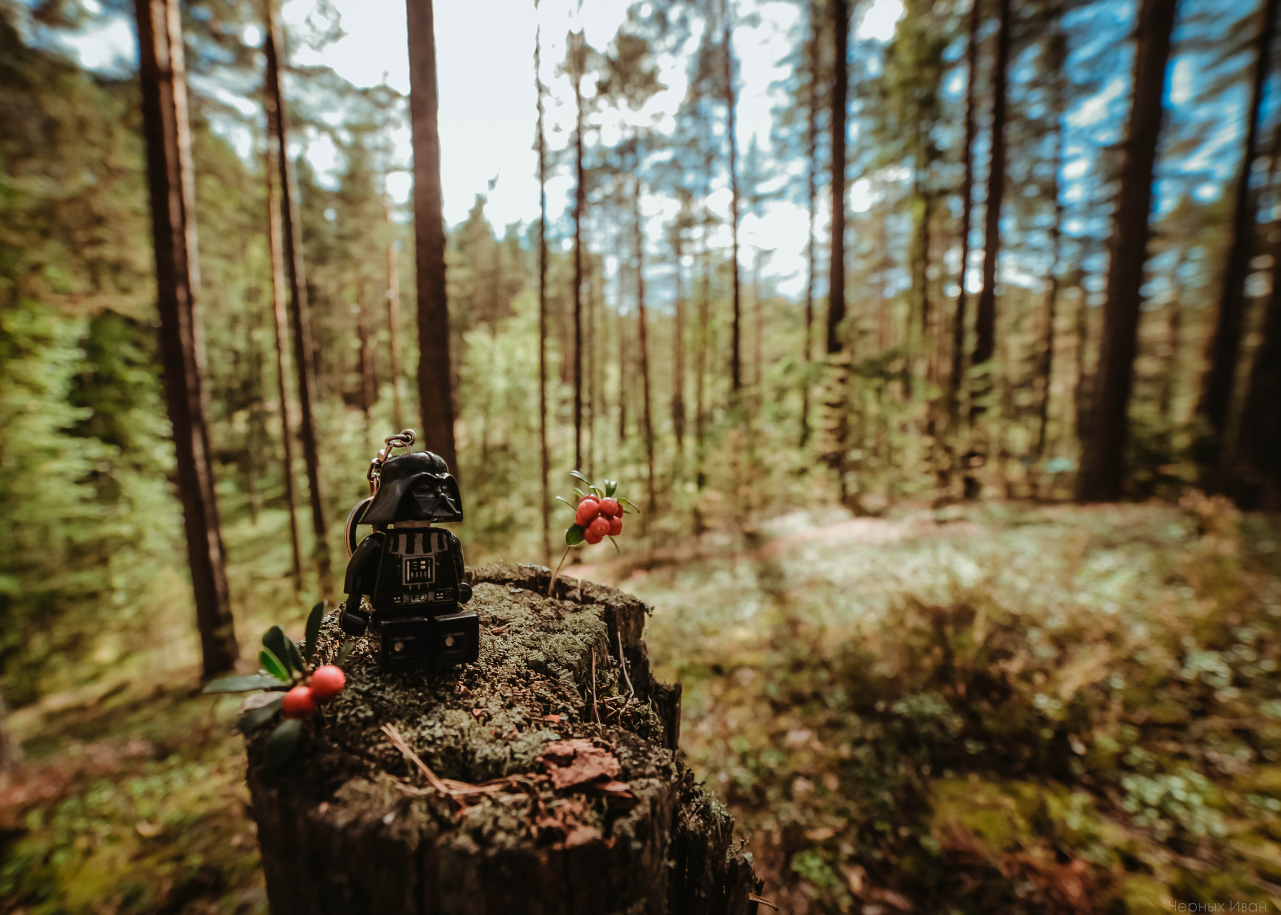 2015. Стрит-фотография, полная абсурда, идиотизма и красоты