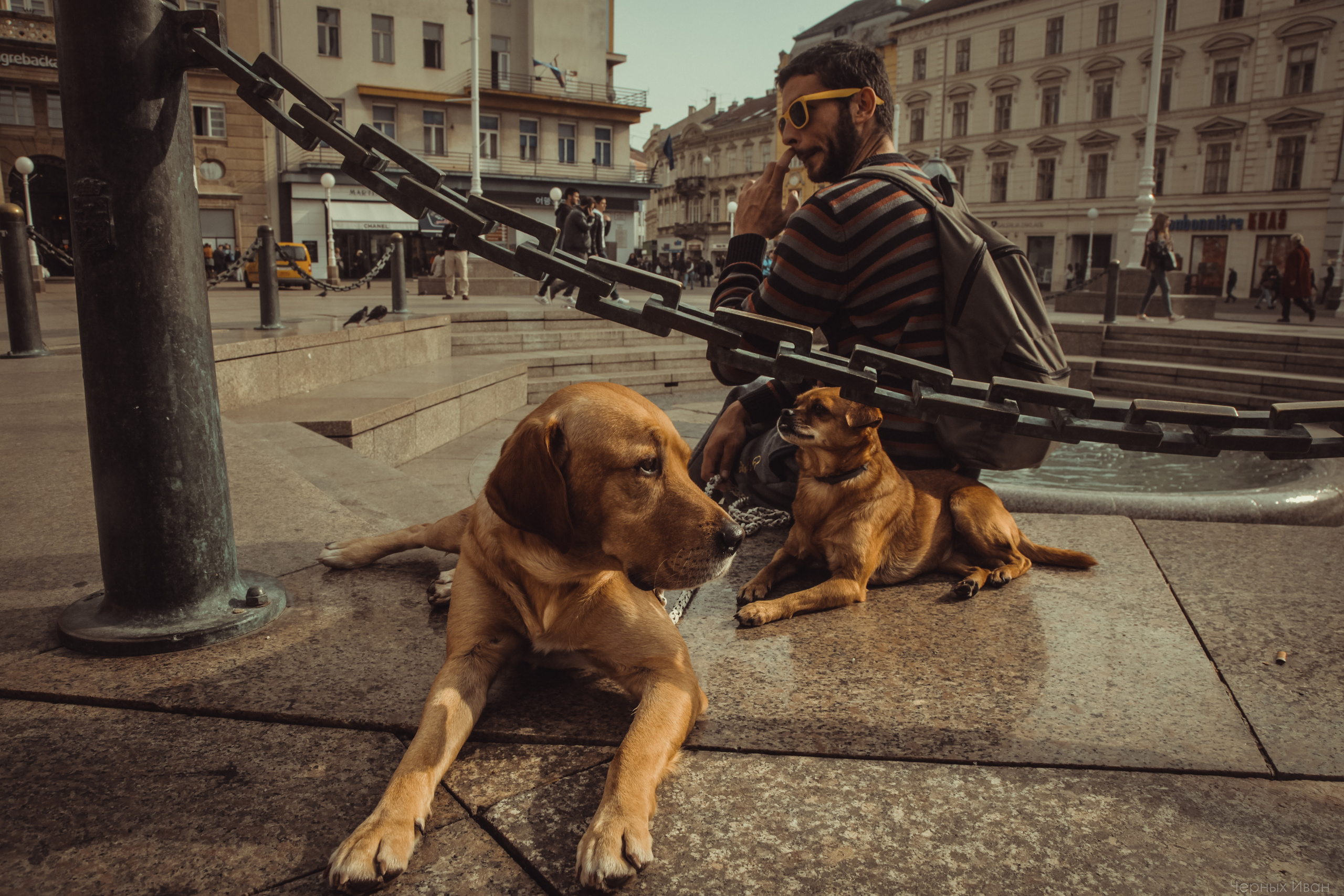 ЗАГРЕБ. Стрит-фотография, полная абсурда, идиотизма и красоты