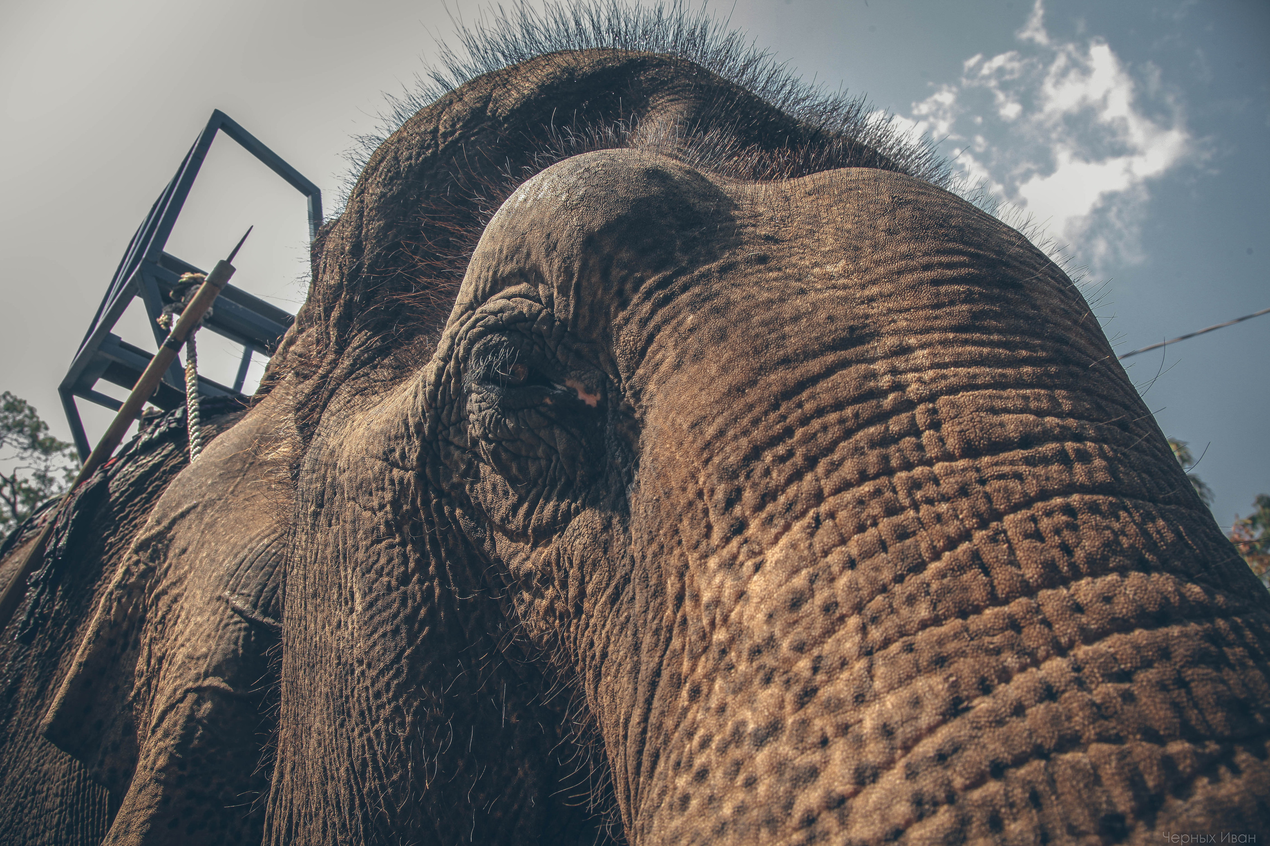 ВЬЕТНАМ. Стрит-фотография, полная абсурда, идиотизма и красоты