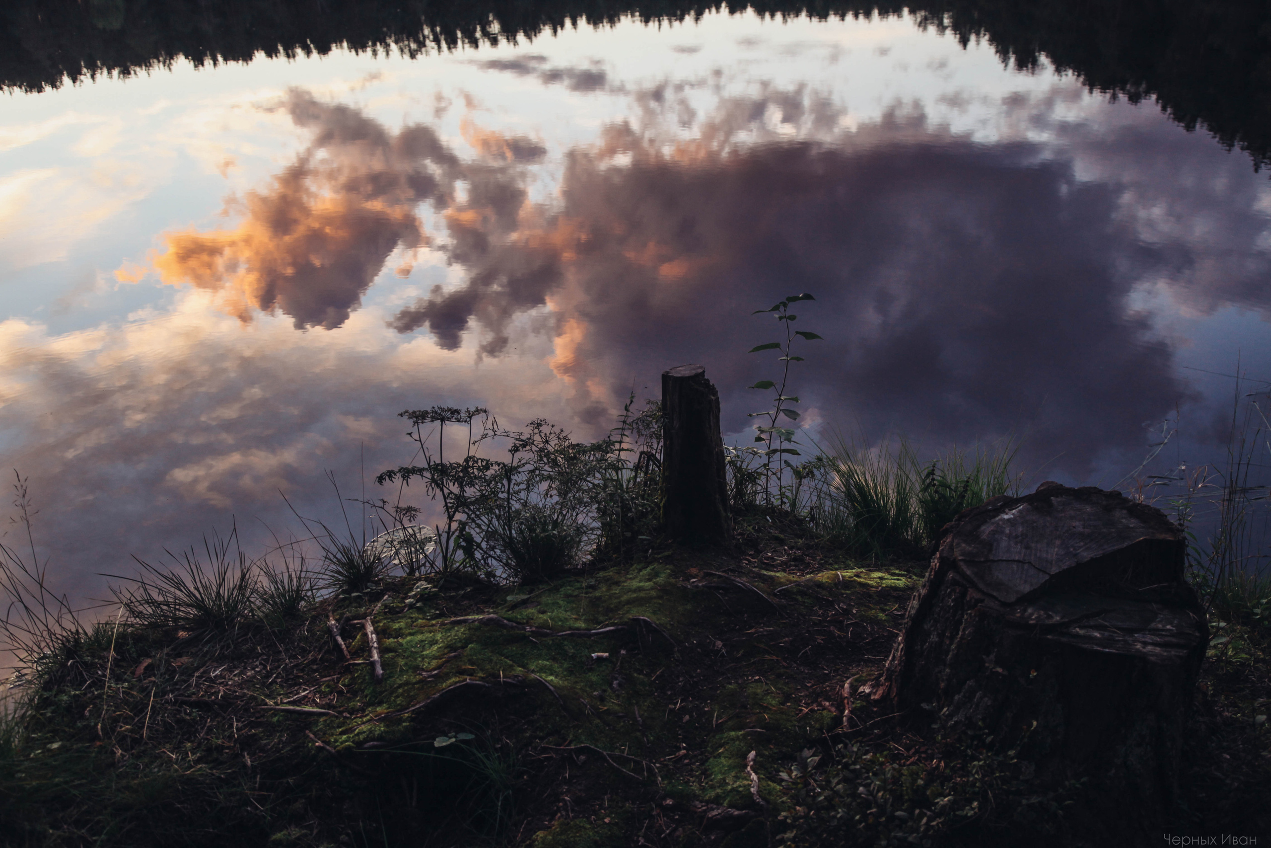 2015. Стрит-фотография, полная абсурда, идиотизма и красоты