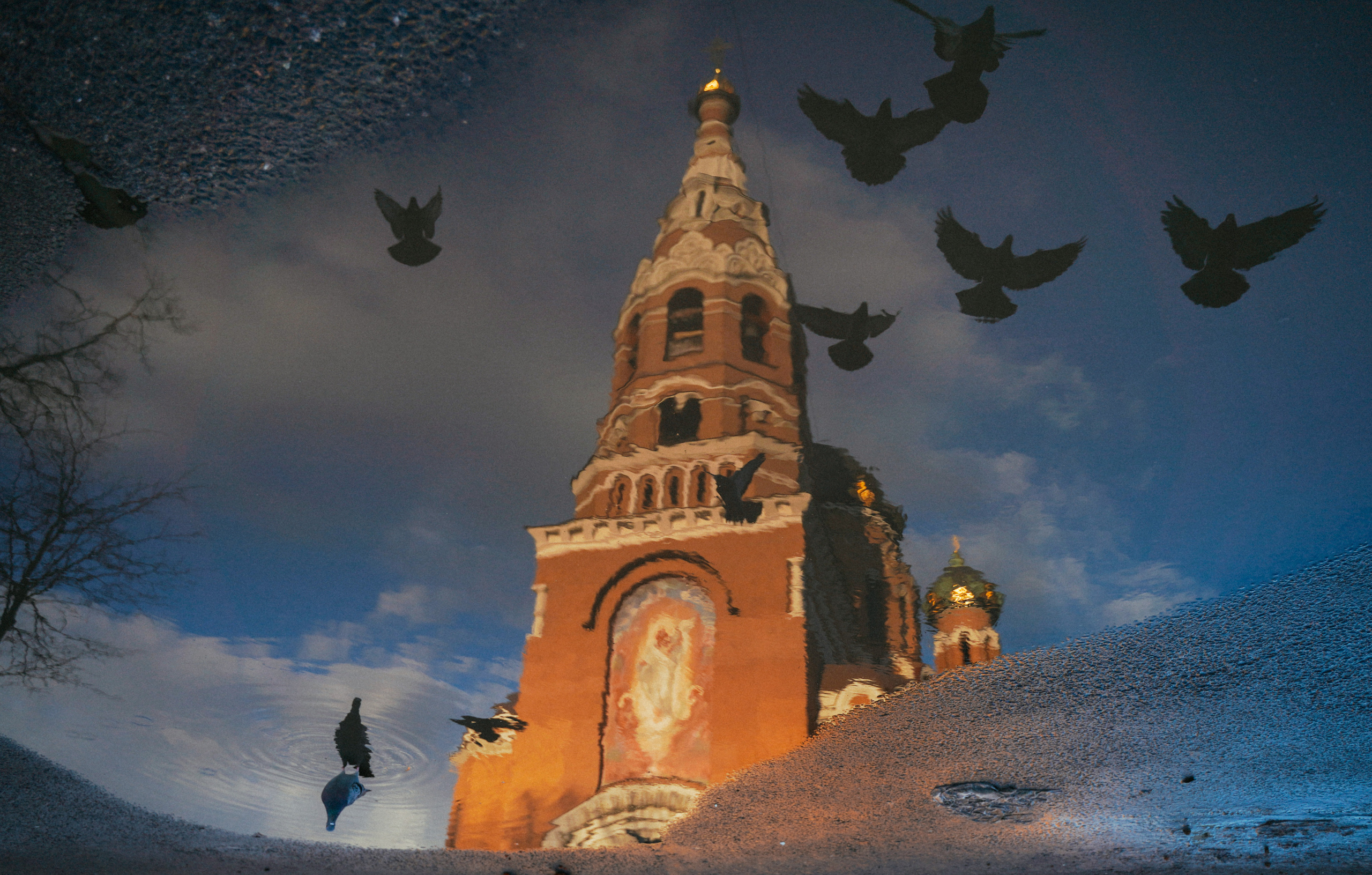 2019. Стрит-фотография, полная абсурда, идиотизма и красоты