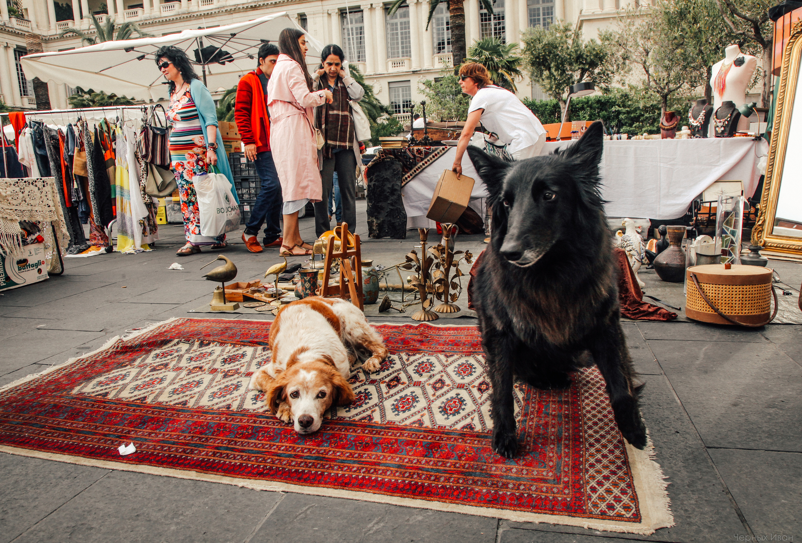 ФРАНЦИЯ. Стрит-фотография, полная абсурда, идиотизма и красоты