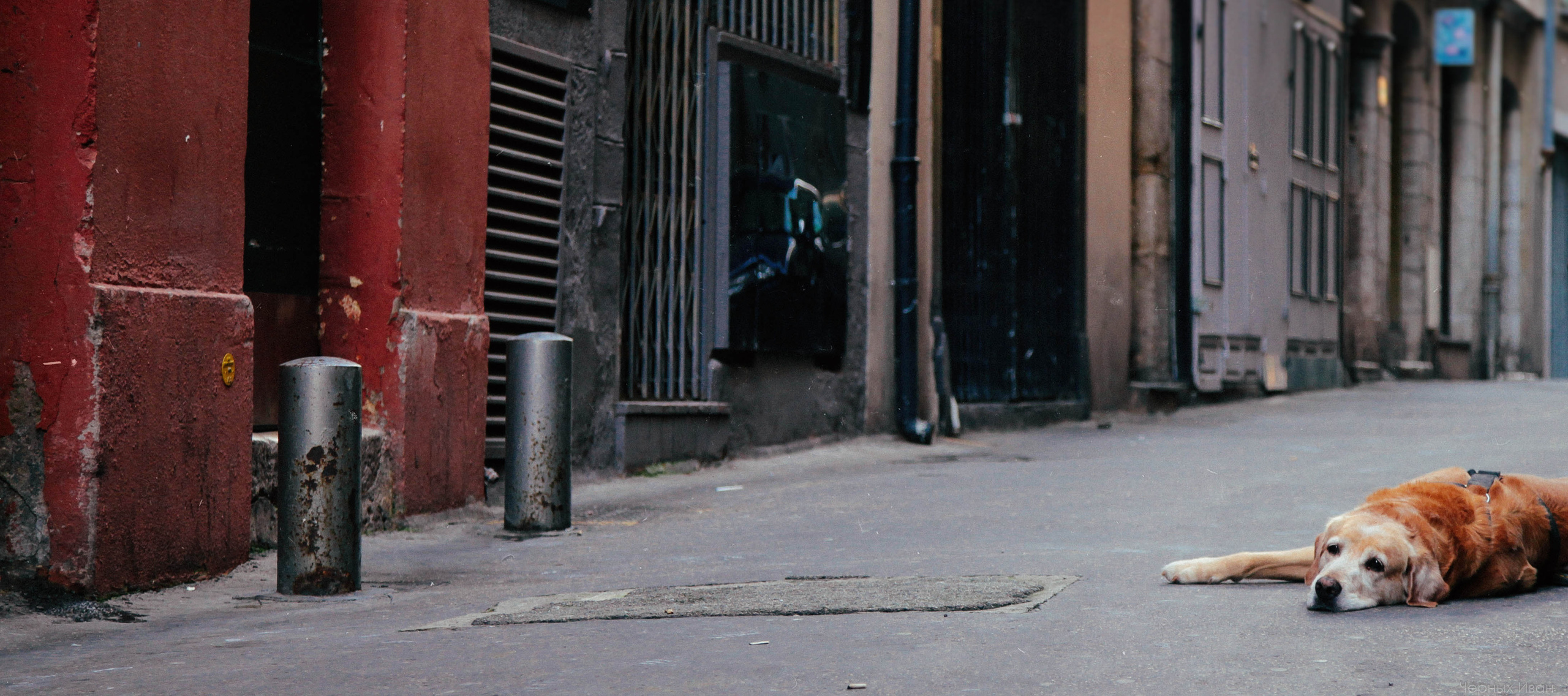 ФРАНЦИЯ. Стрит-фотография, полная абсурда, идиотизма и красоты