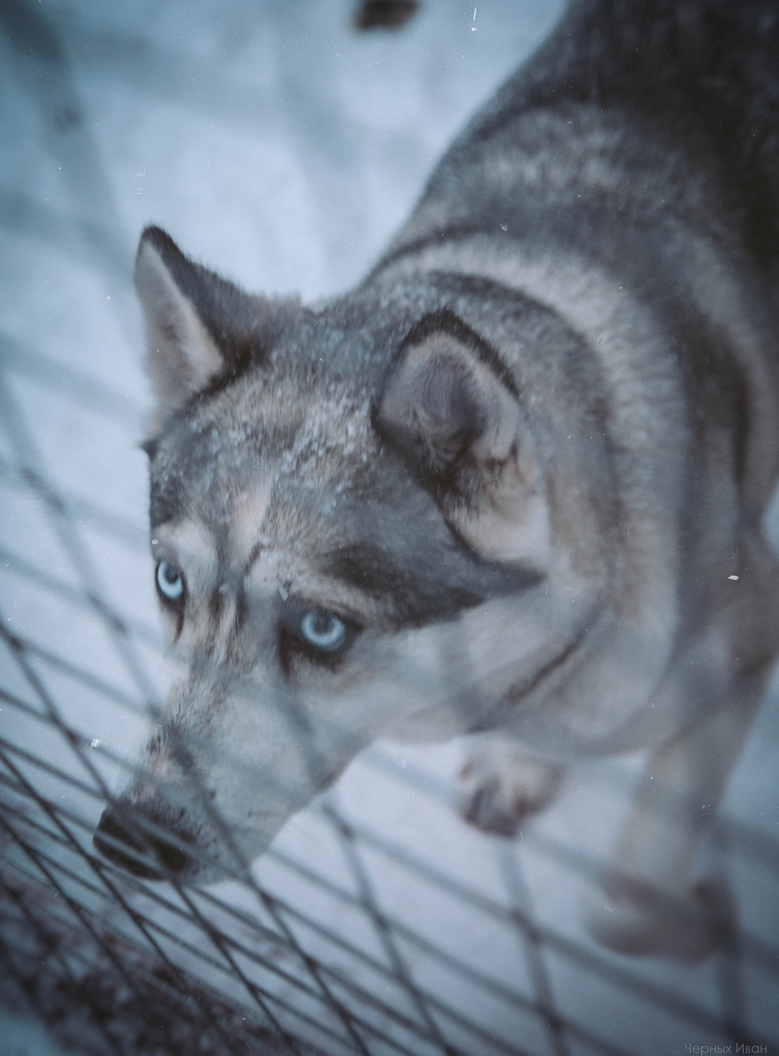 2015. Стрит-фотография, полная абсурда, идиотизма и красоты