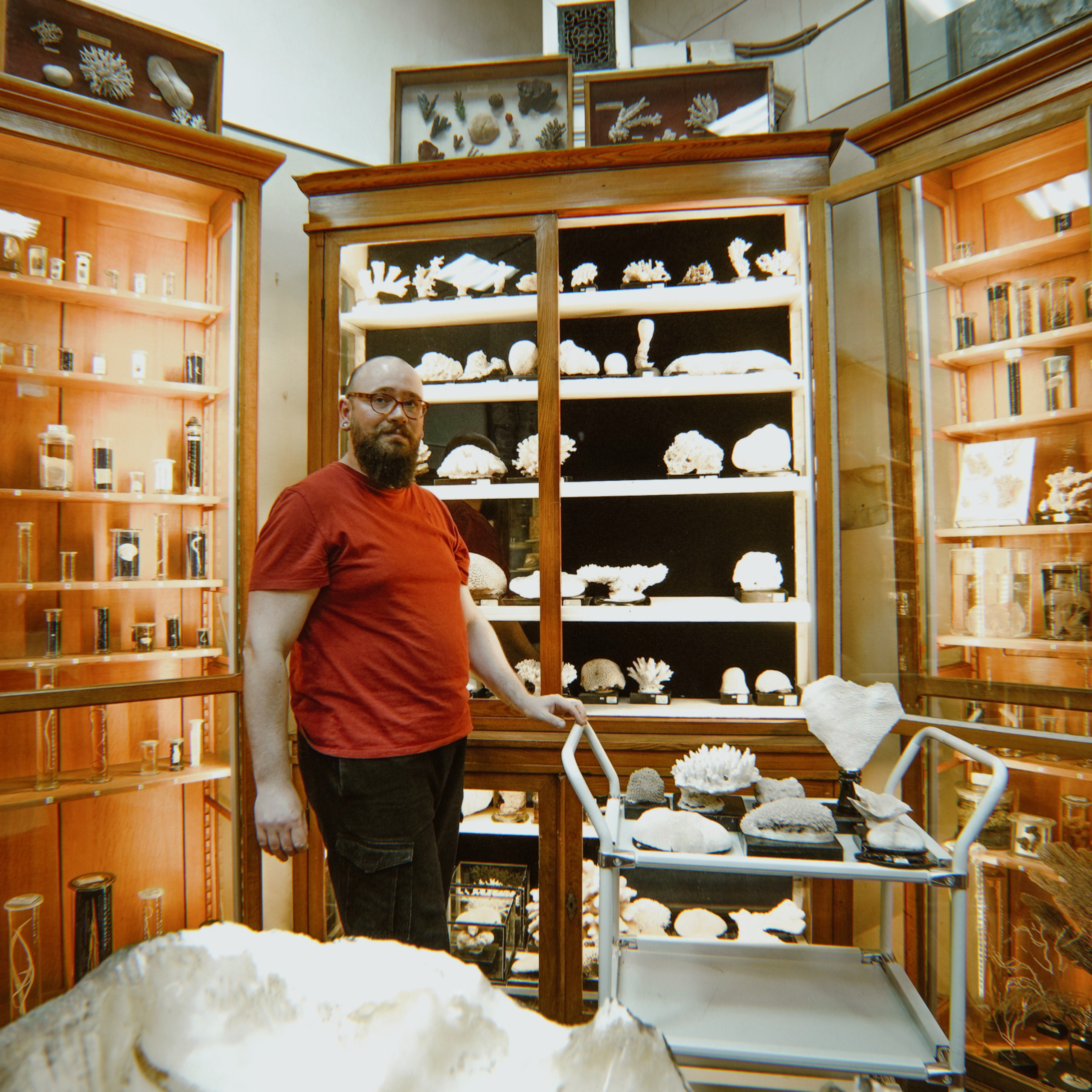 Наука. Стрит-фотография, полная абсурда, идиотизма и красоты