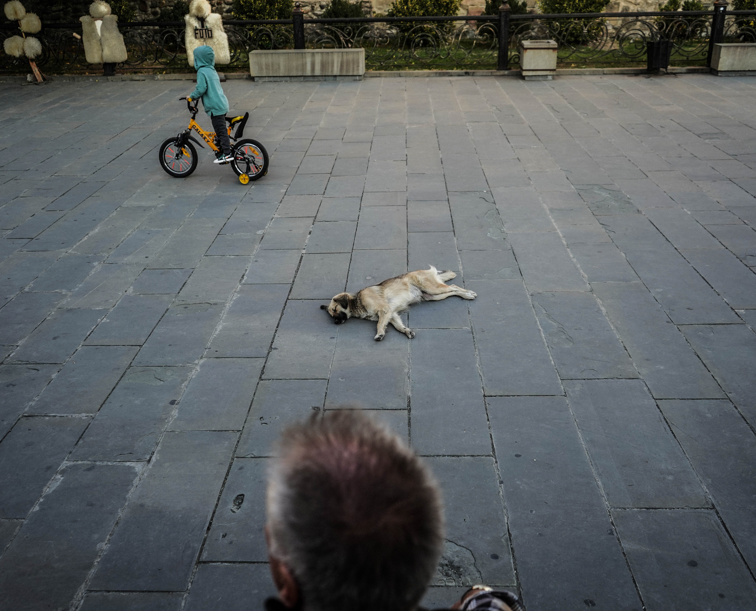 ГРУЗИЯ. Стрит-фотография, полная абсурда, идиотизма и красоты