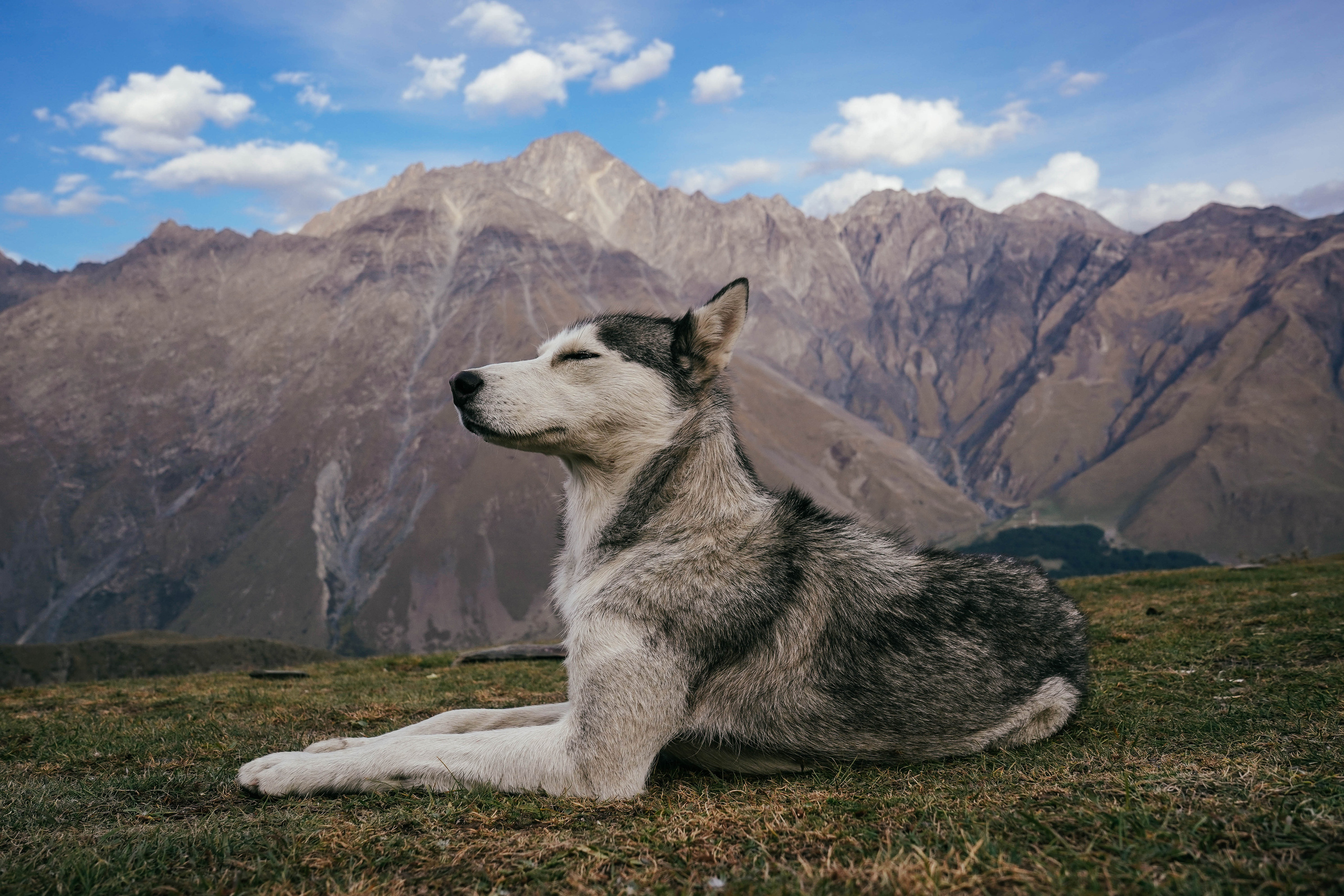 ГРУЗИЯ. Стрит-фотография, полная абсурда, идиотизма и красоты