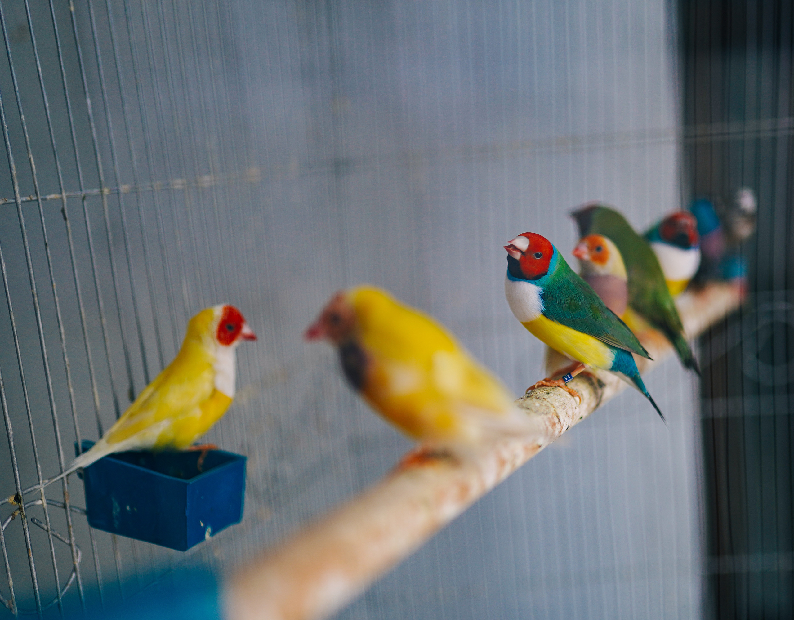 КУБА. Стрит-фотография, полная абсурда, идиотизма и красоты