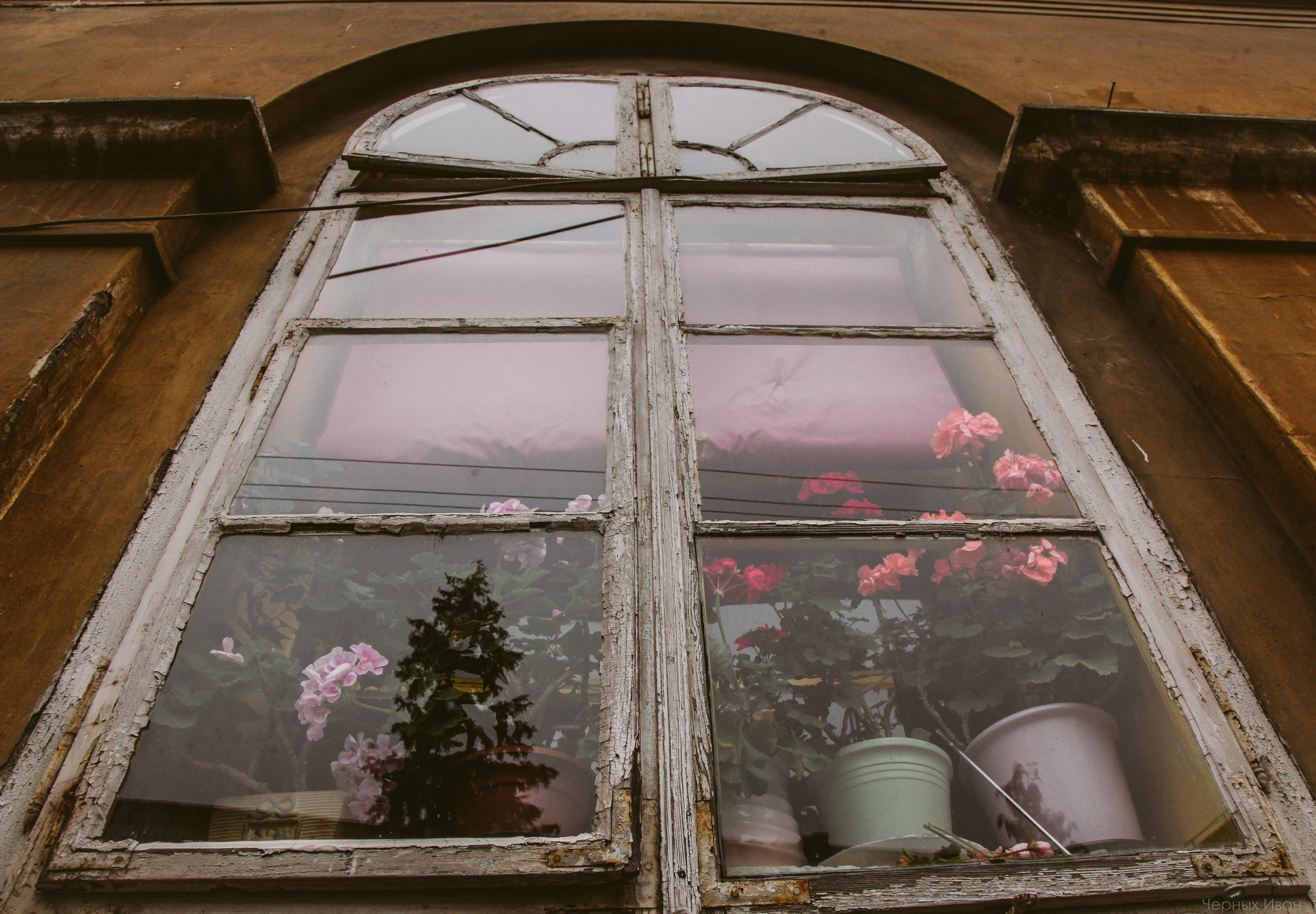 ЗАГРЕБ. Стрит-фотография, полная абсурда, идиотизма и красоты