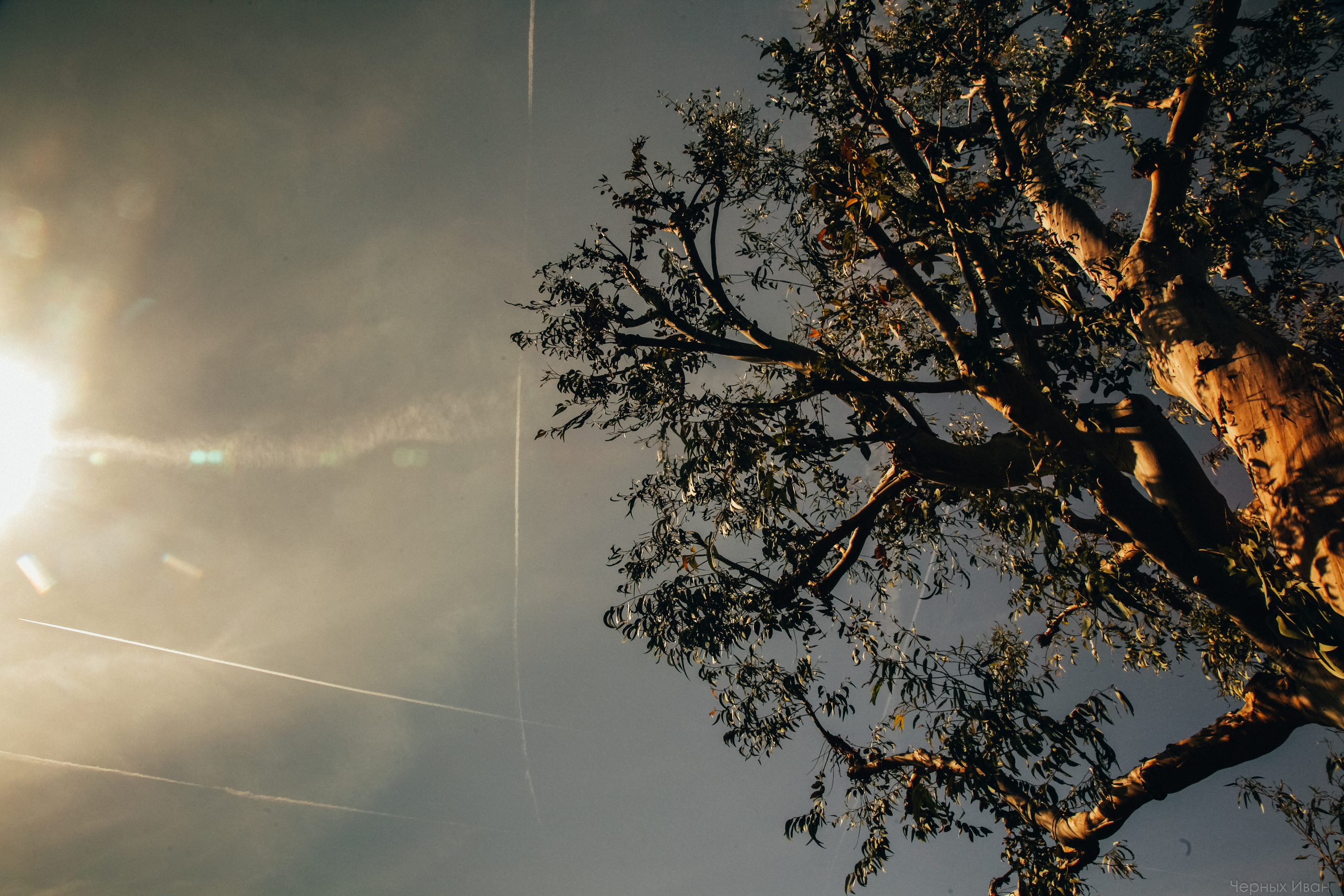 ФРАНЦИЯ. Стрит-фотография, полная абсурда, идиотизма и красоты