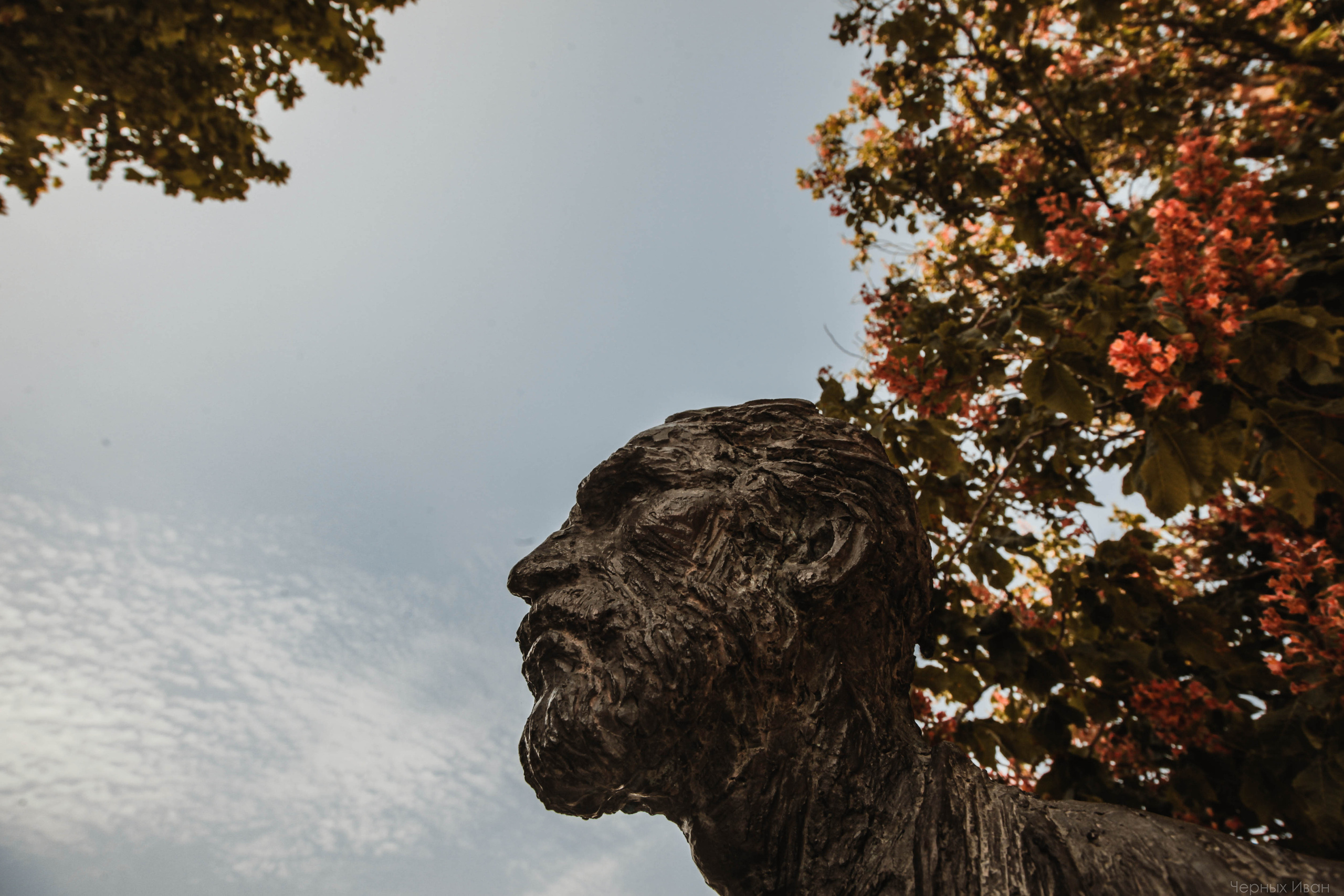 ФРАНЦИЯ. Стрит-фотография, полная абсурда, идиотизма и красоты