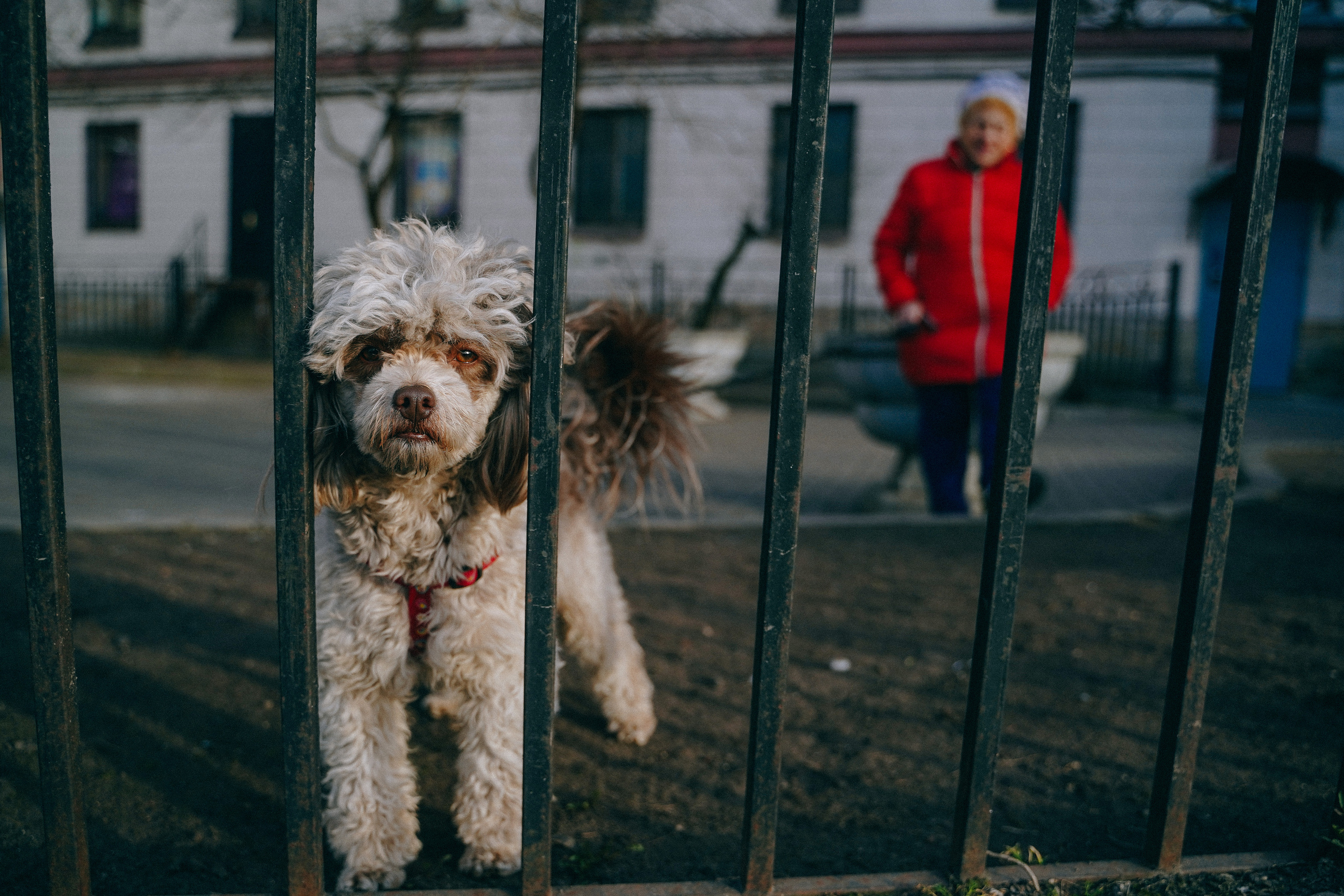2019. Стрит-фотография, полная абсурда, идиотизма и красоты