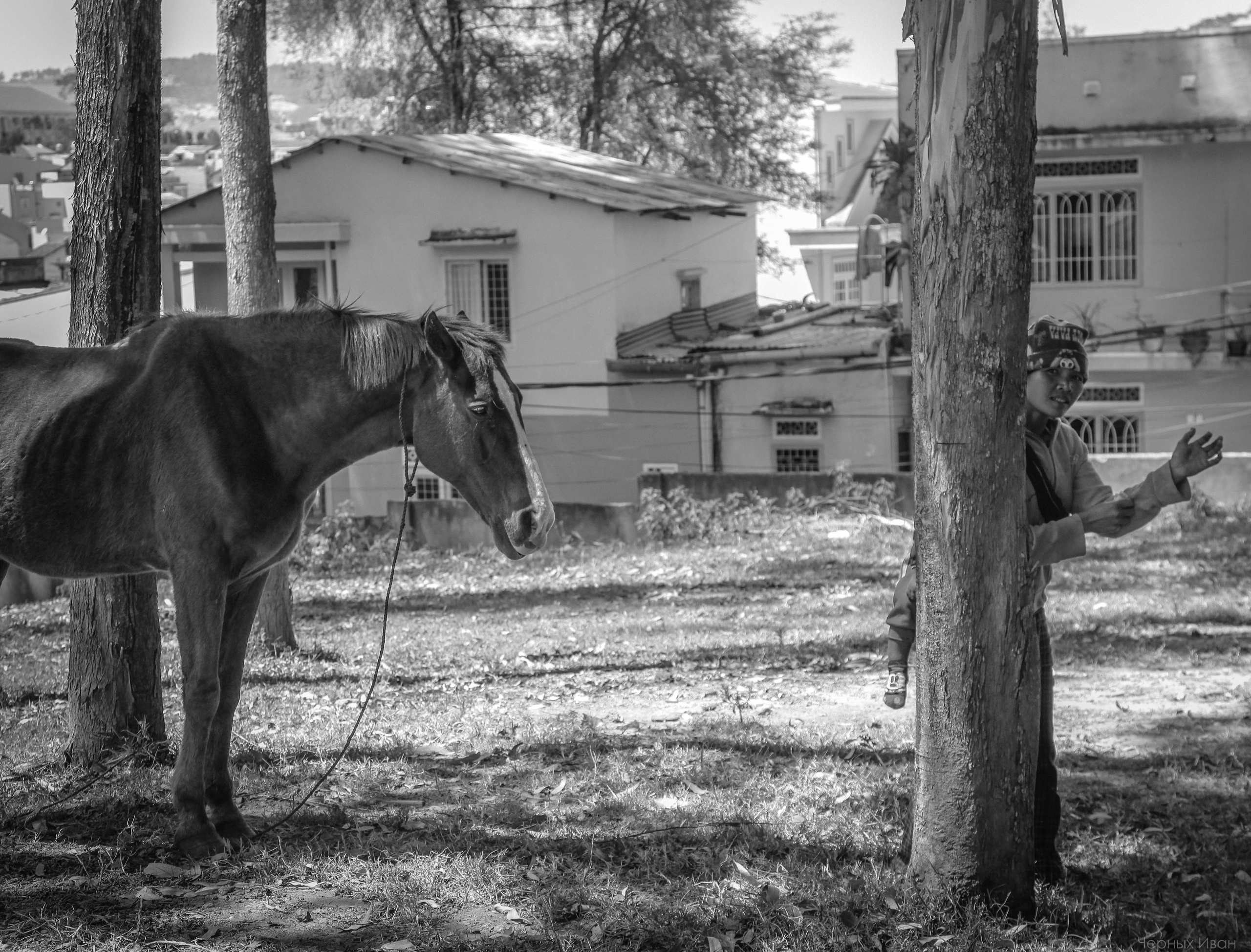 ВЬЕТНАМ. Стрит-фотография, полная абсурда, идиотизма и красоты