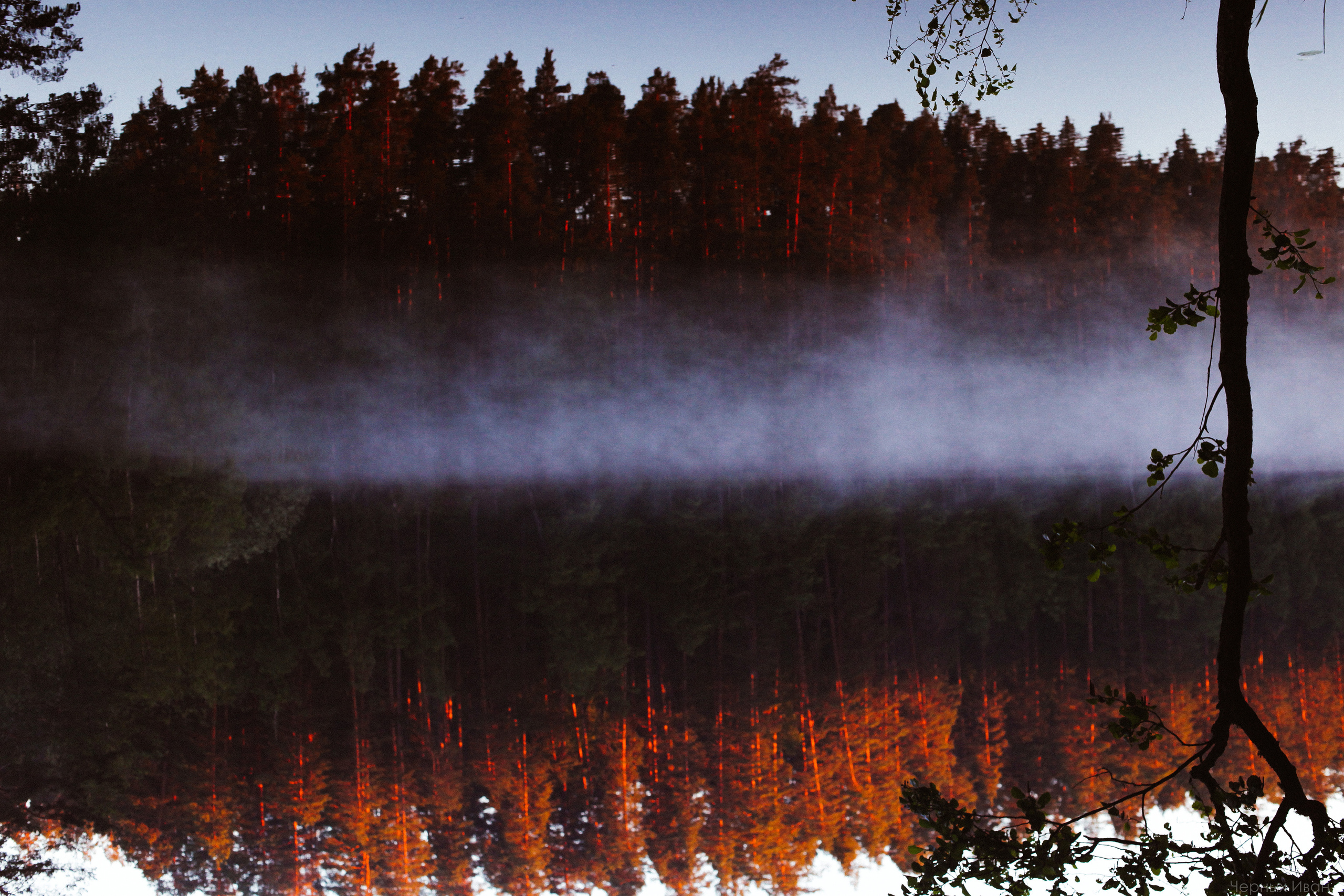 2017. Стрит-фотография, полная абсурда, идиотизма и красоты