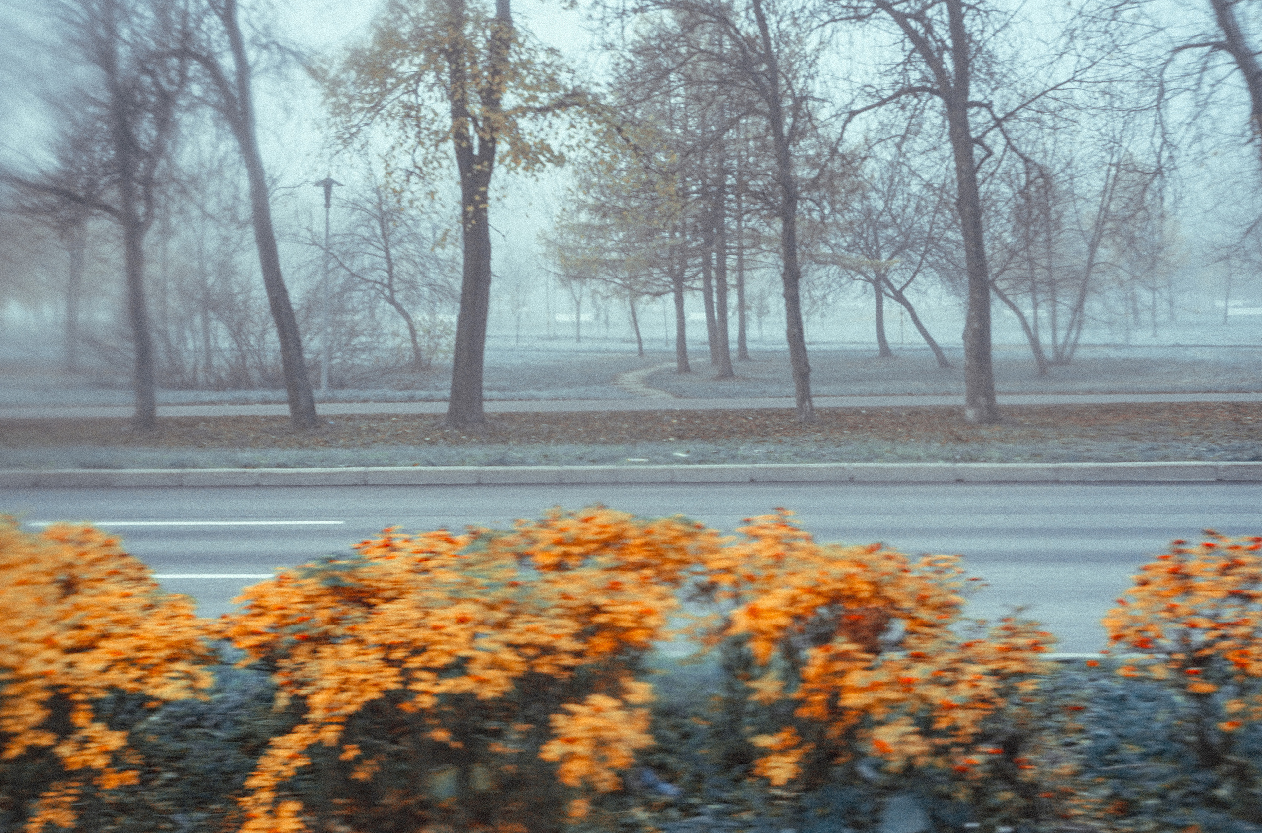 ПЕЙЗАЖИ. Стрит-фотография, полная абсурда, идиотизма и красоты