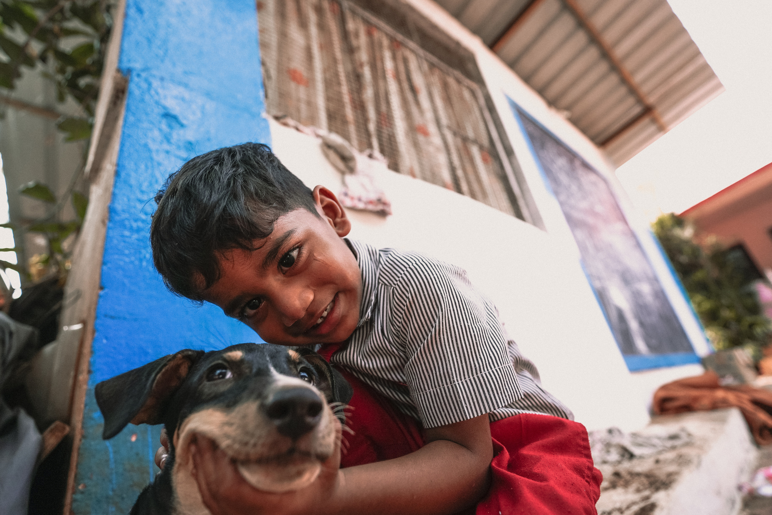 ИНДИЯ 2020. Стрит-фотография, полная абсурда, идиотизма и красоты