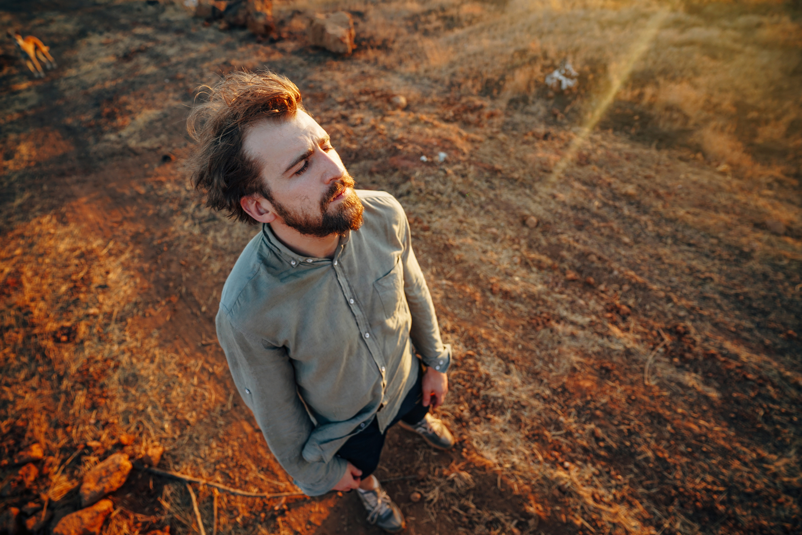 ИНДИЯ 2020. Стрит-фотография, полная абсурда, идиотизма и красоты