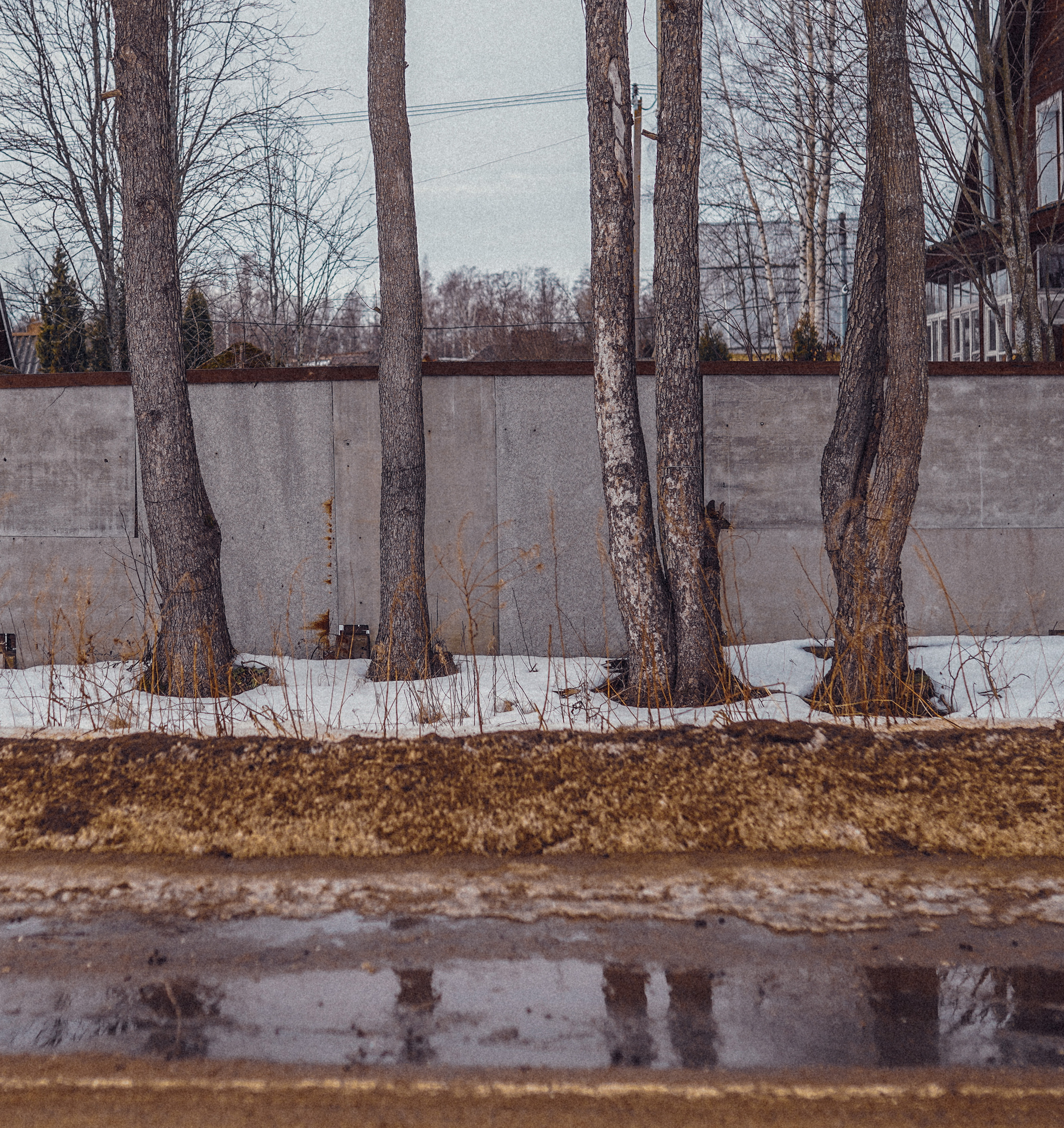 2021. Стрит-фотография, полная абсурда, идиотизма и красоты