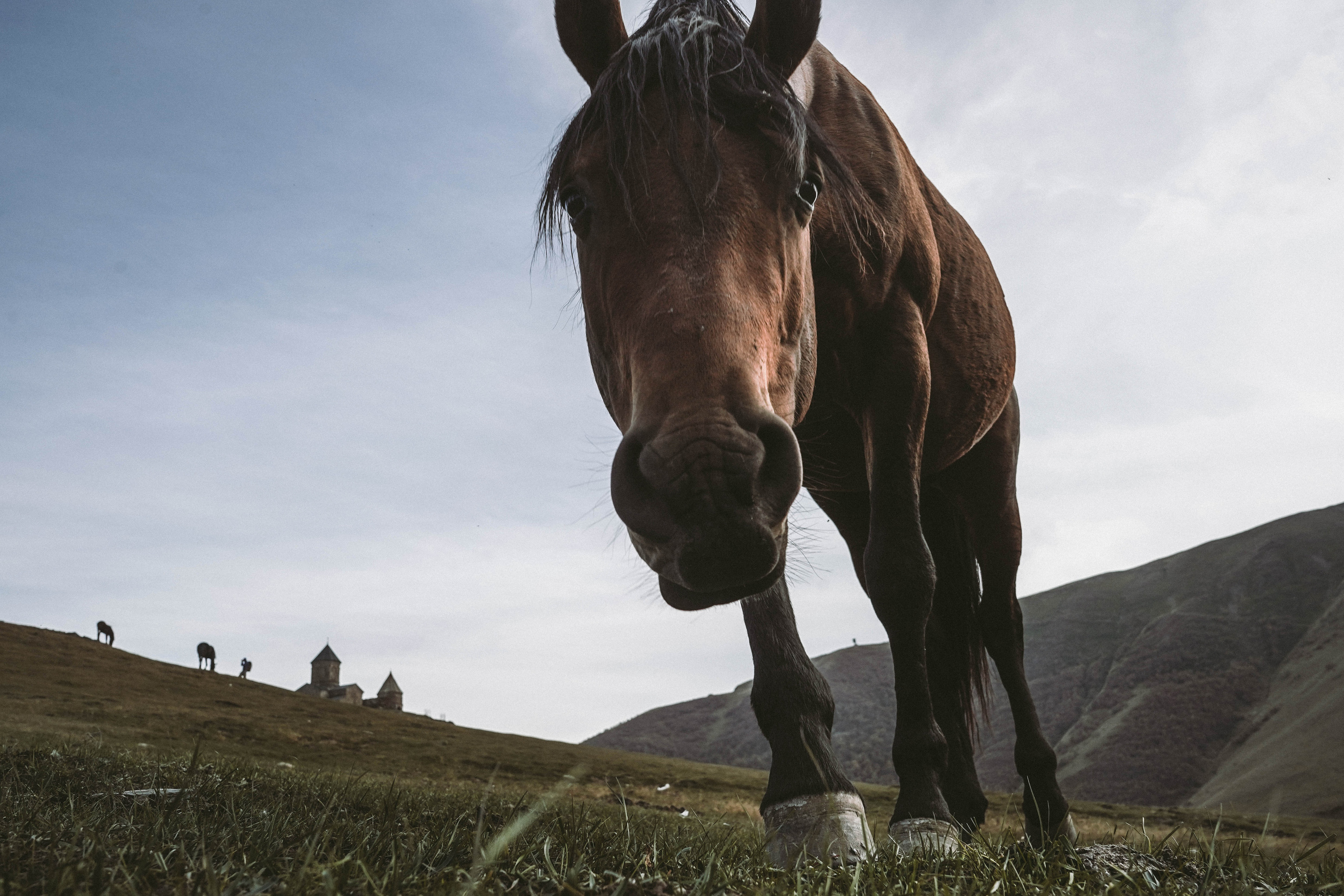 ГРУЗИЯ. Стрит-фотография, полная абсурда, идиотизма и красоты