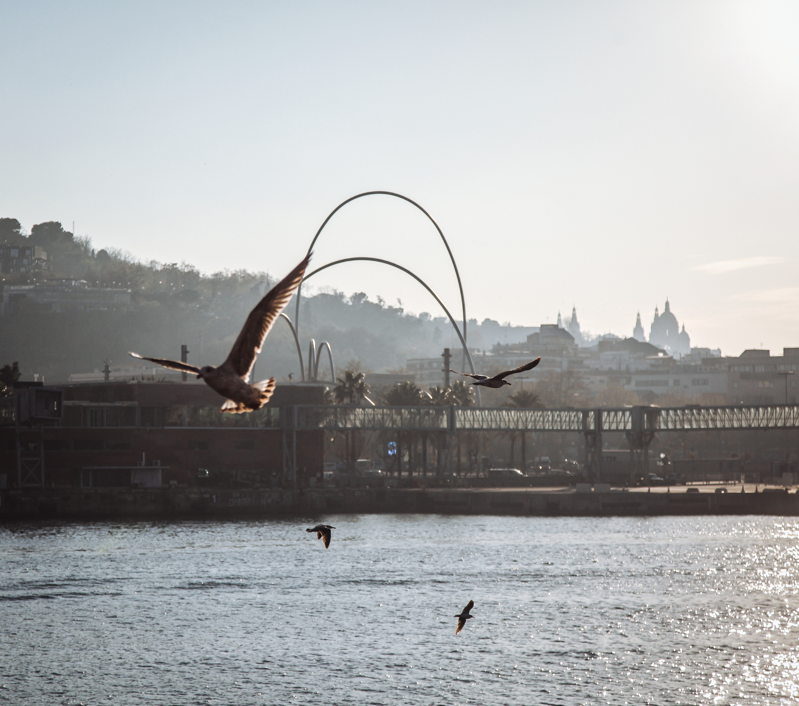 ИСПАНИЯ. Стрит-фотография, полная абсурда, идиотизма и красоты
