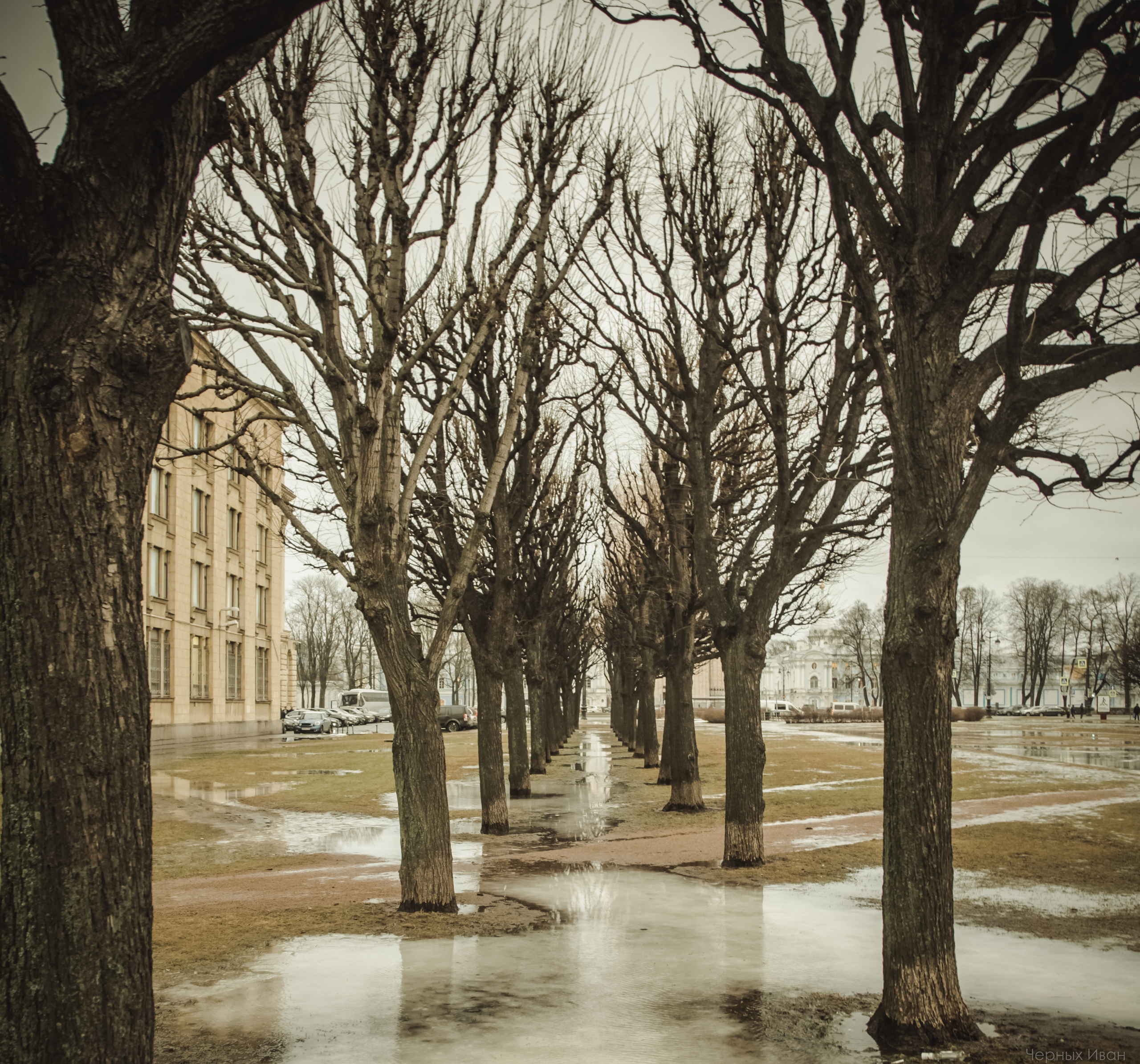 2016. Стрит-фотография, полная абсурда, идиотизма и красоты