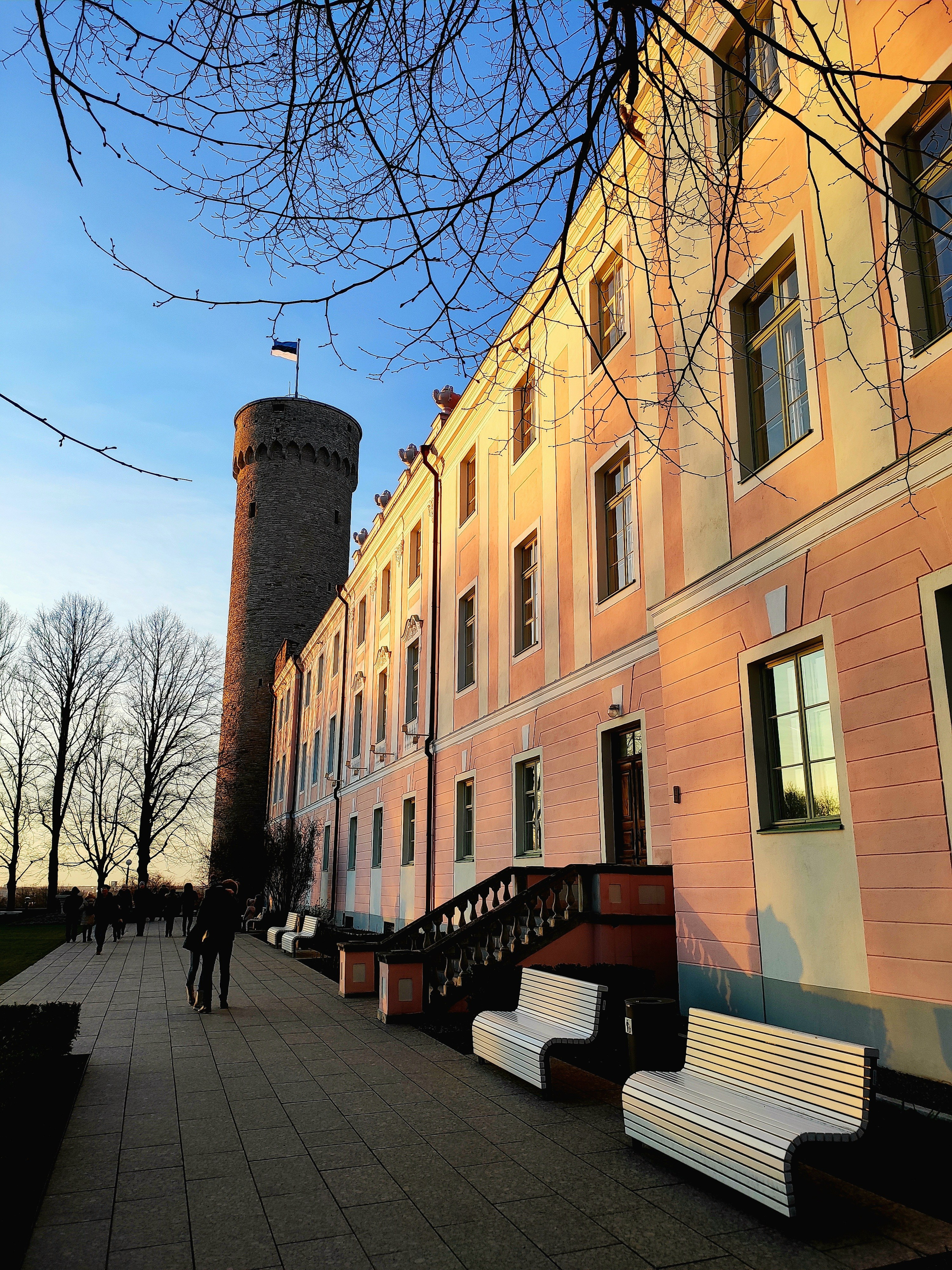 Здание парламента и крепостная башня Длинный Герман, на вершине которой развивается флаг Эстонии на высоте 95 м.