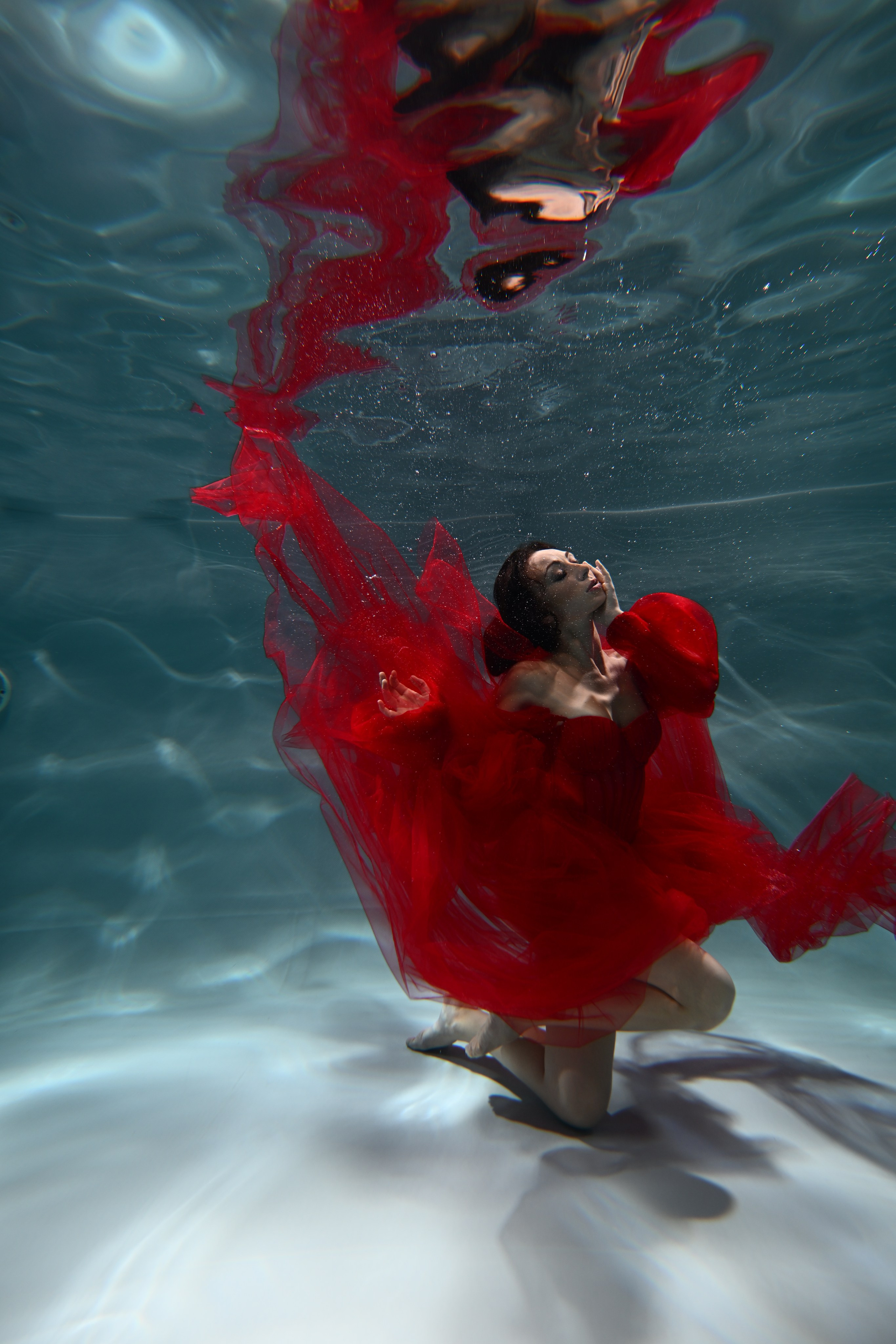 Аква студия НЕМО. Фотограф в Санкт-Петербурге Сафронов Николай