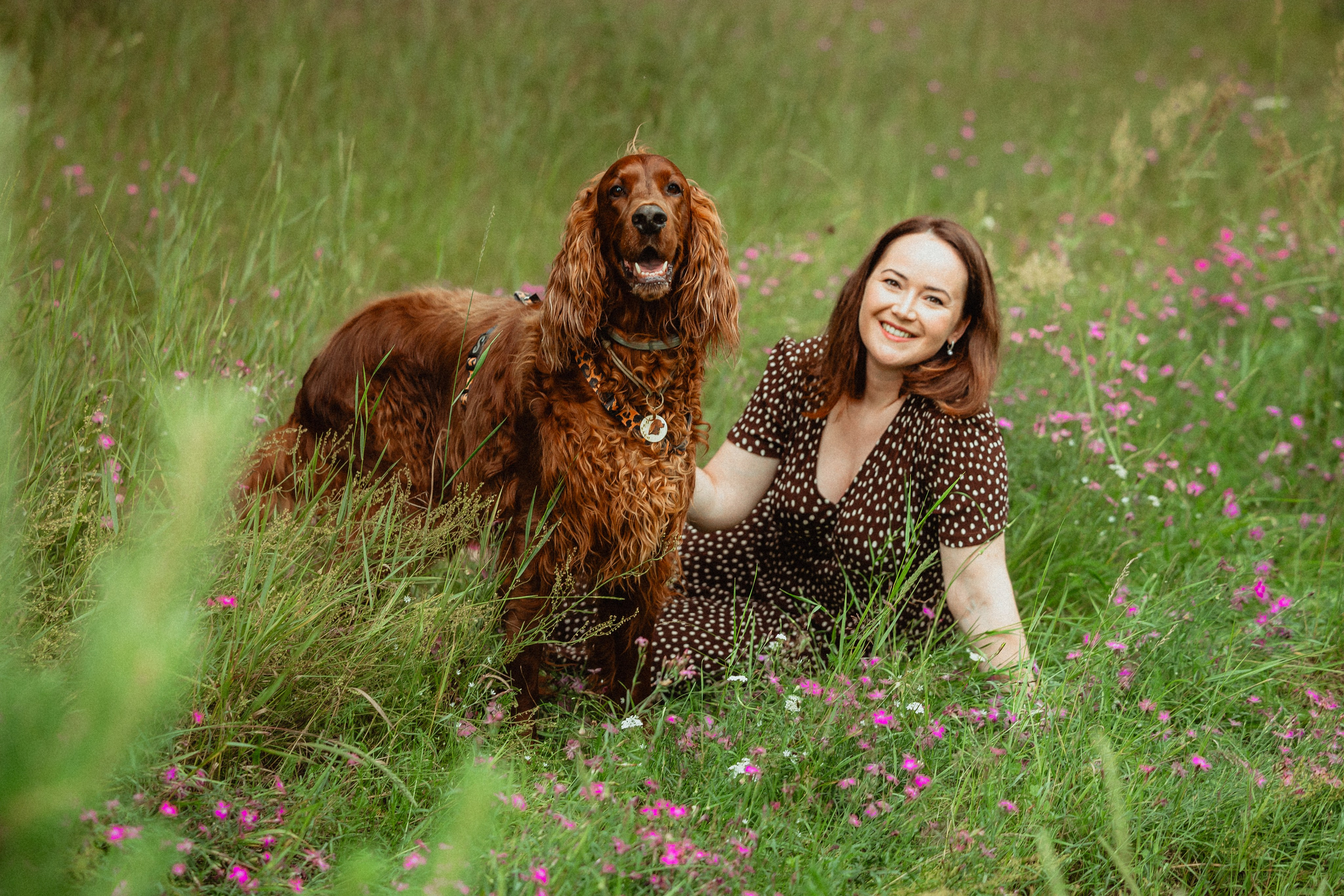 Выездной дог-тренинг от школы «Шерсть имею»