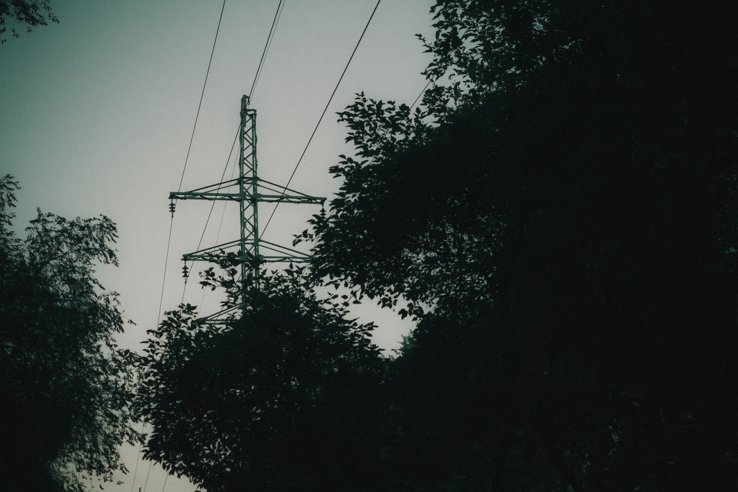 Мрачные. Фотограф в Новокузнецке