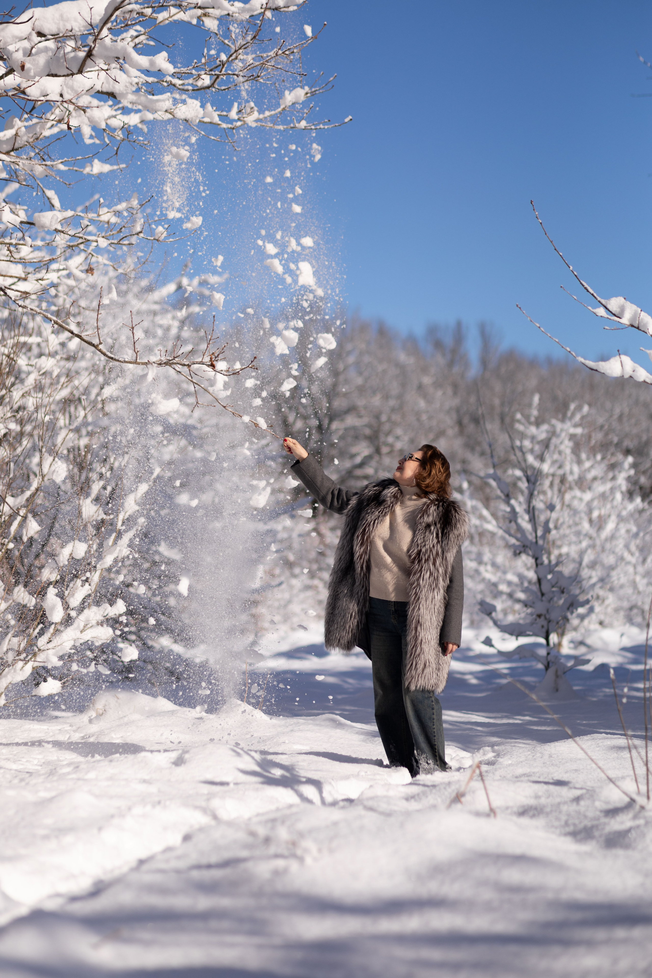 Виолетта и Арина. Главная