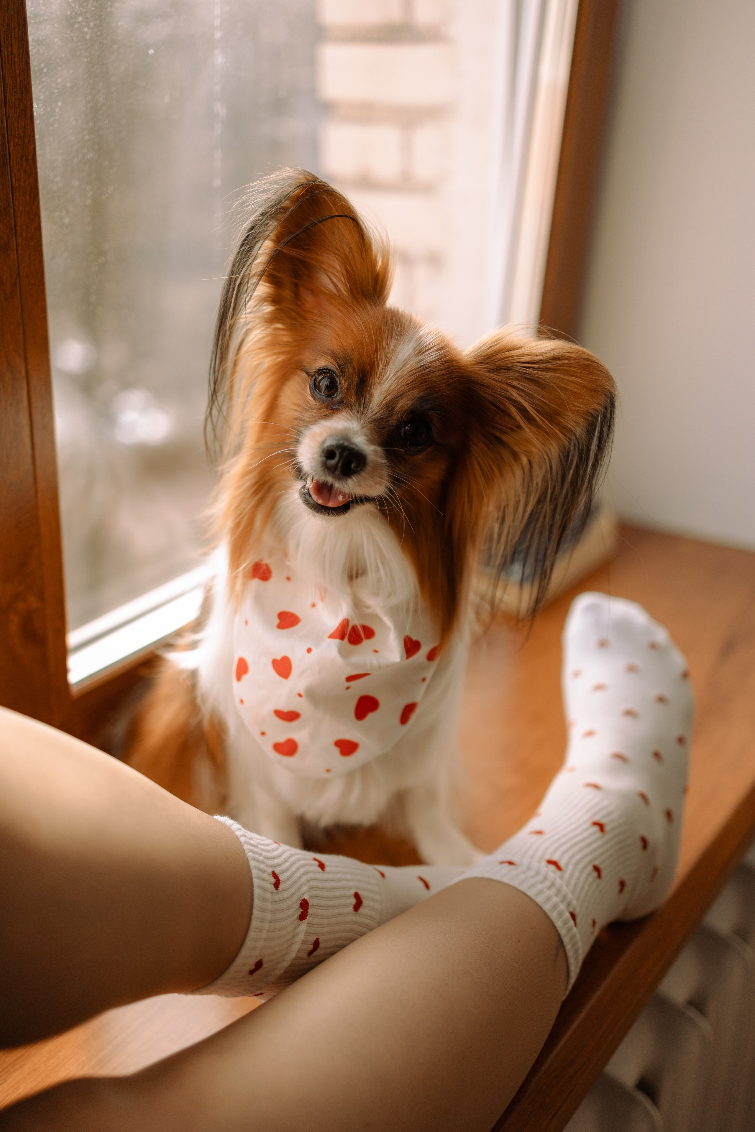 Женя и Брю. Фотограф — Анималист | Санкт-Петербург