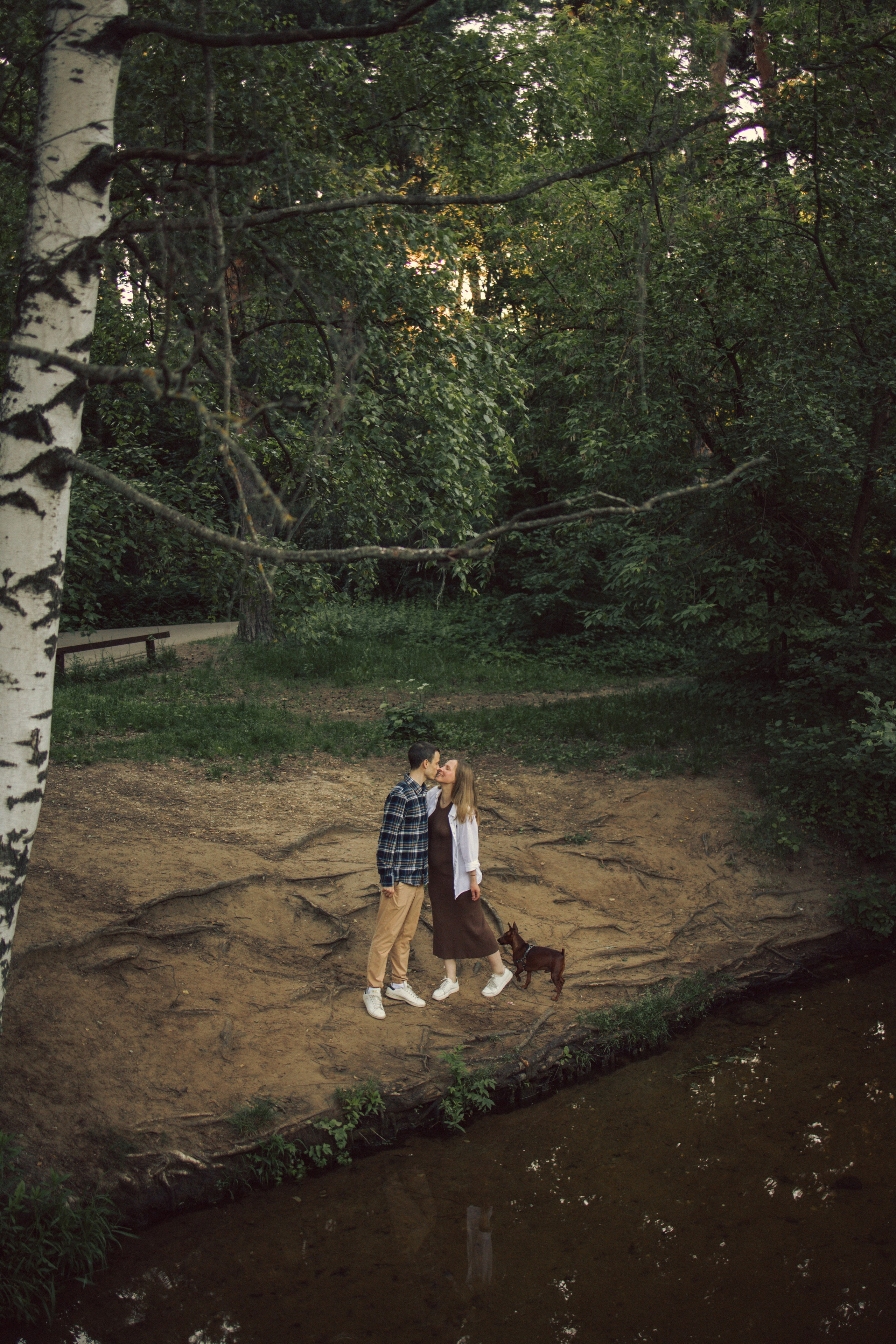Утки, рассвет и любовь. Фотограф — Анималист | Санкт-Петербург