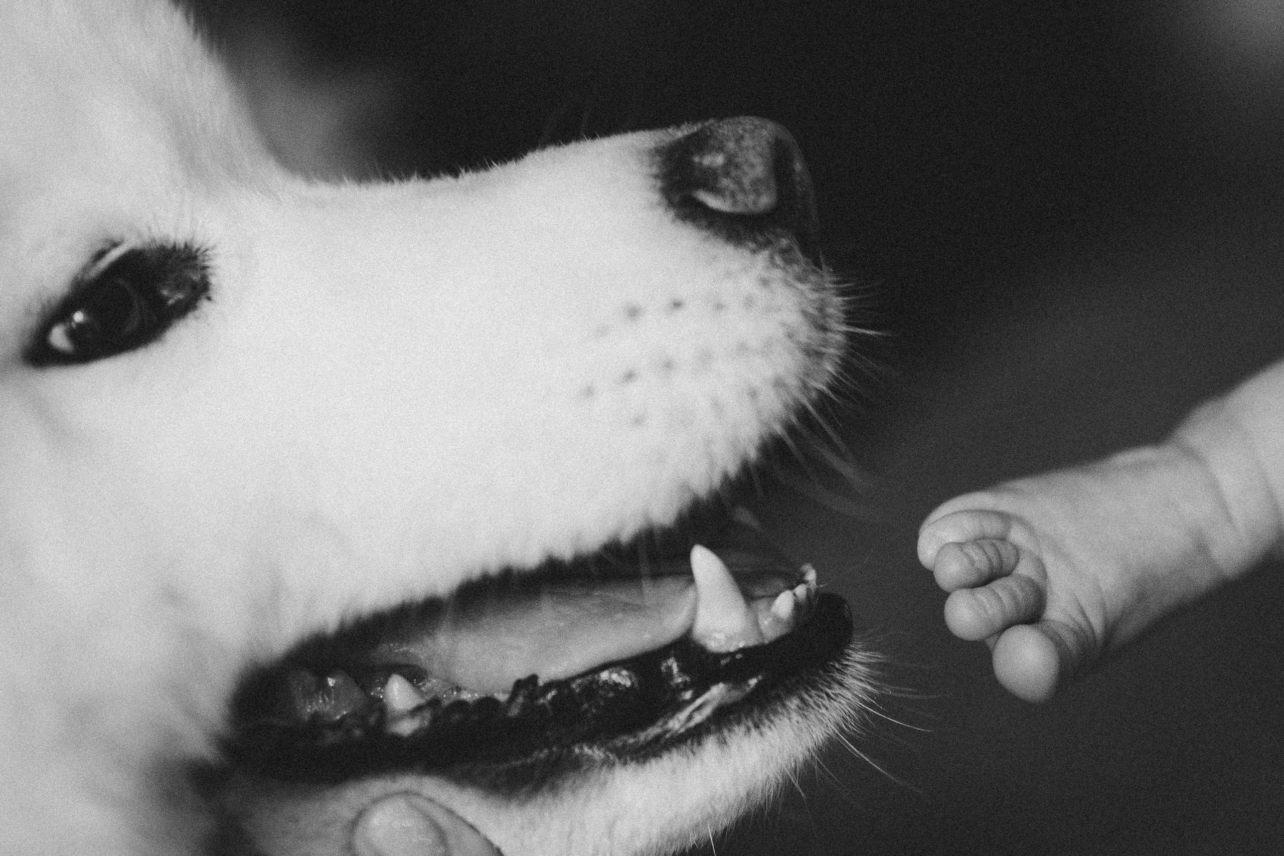 Василиса. Евгения Пелипас