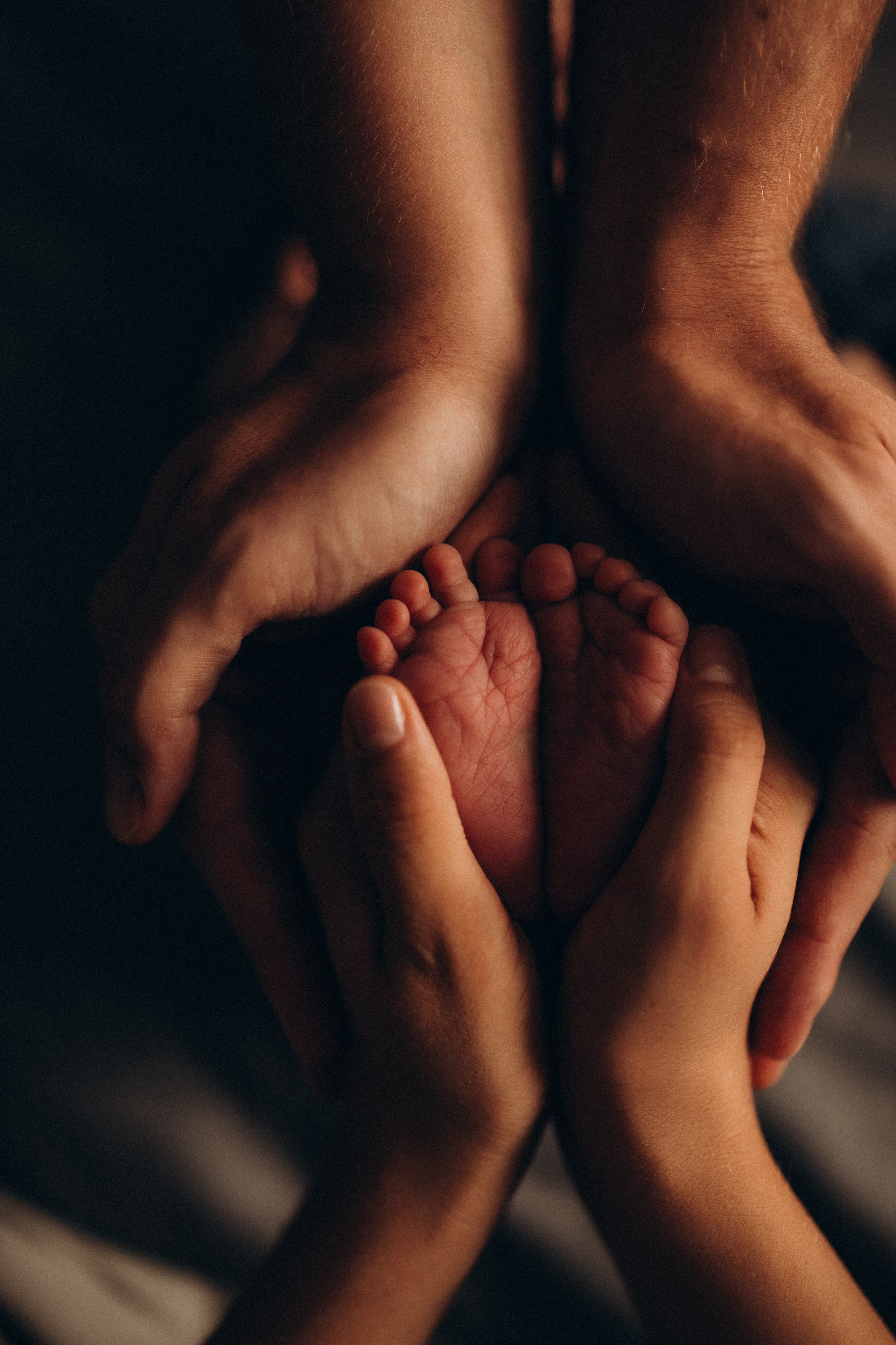 Платон. Евгения Пелипас