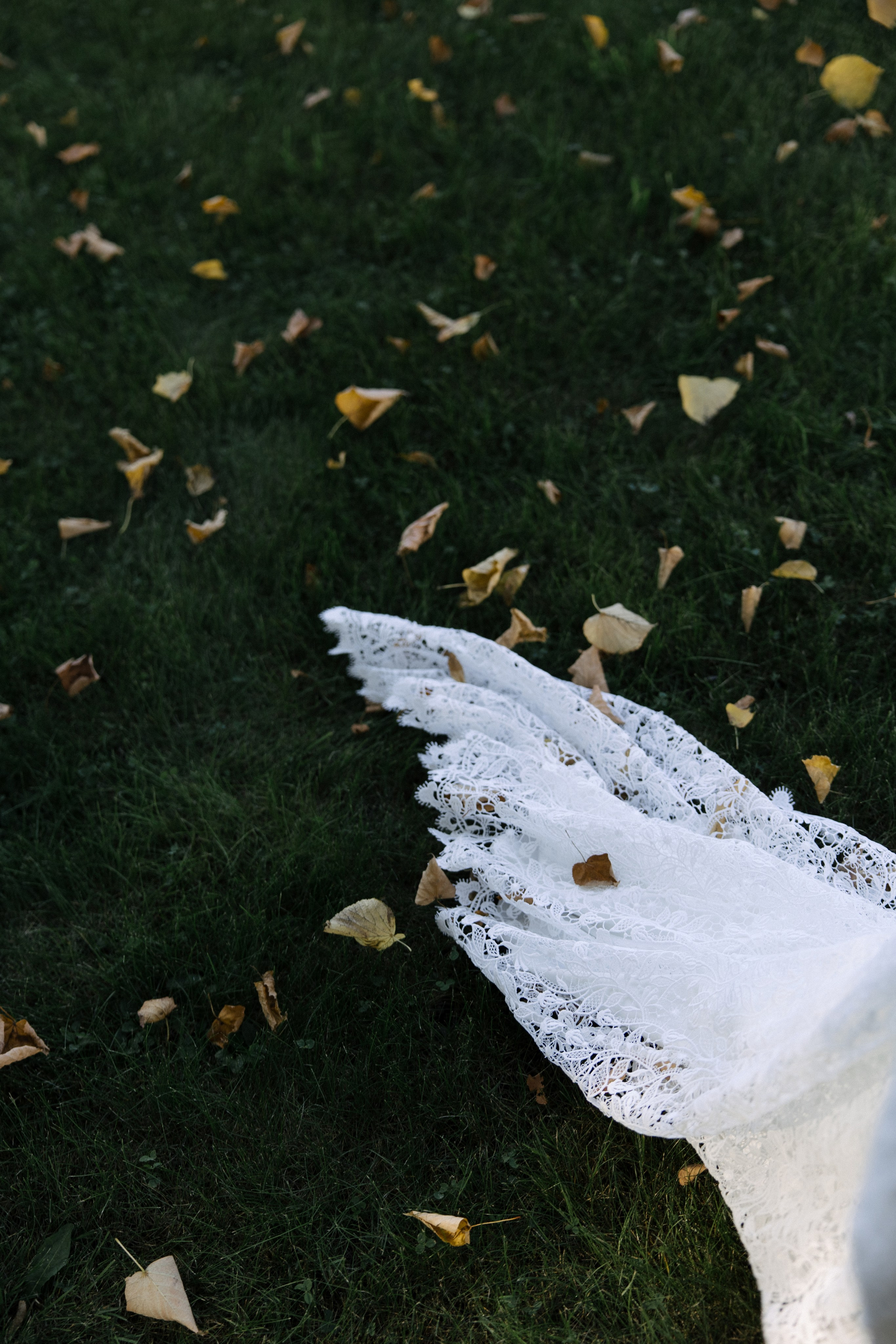 Георгий и Ульяна. Свадебный фотограф в Санкт — Петербурге и Ленинградской о