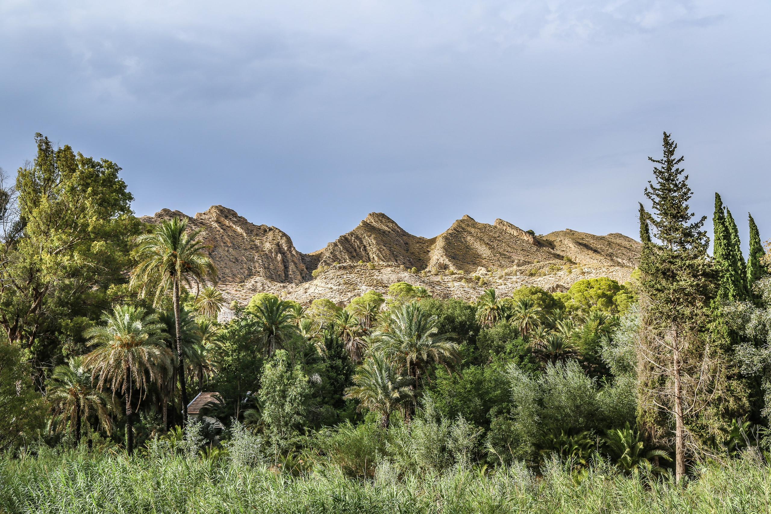 Испания: Мурсия и Арчена — взгляд с дистанции. Дарья Письменюк / Darya Leitstern — фотограф, музыкант, журналист, путешественник