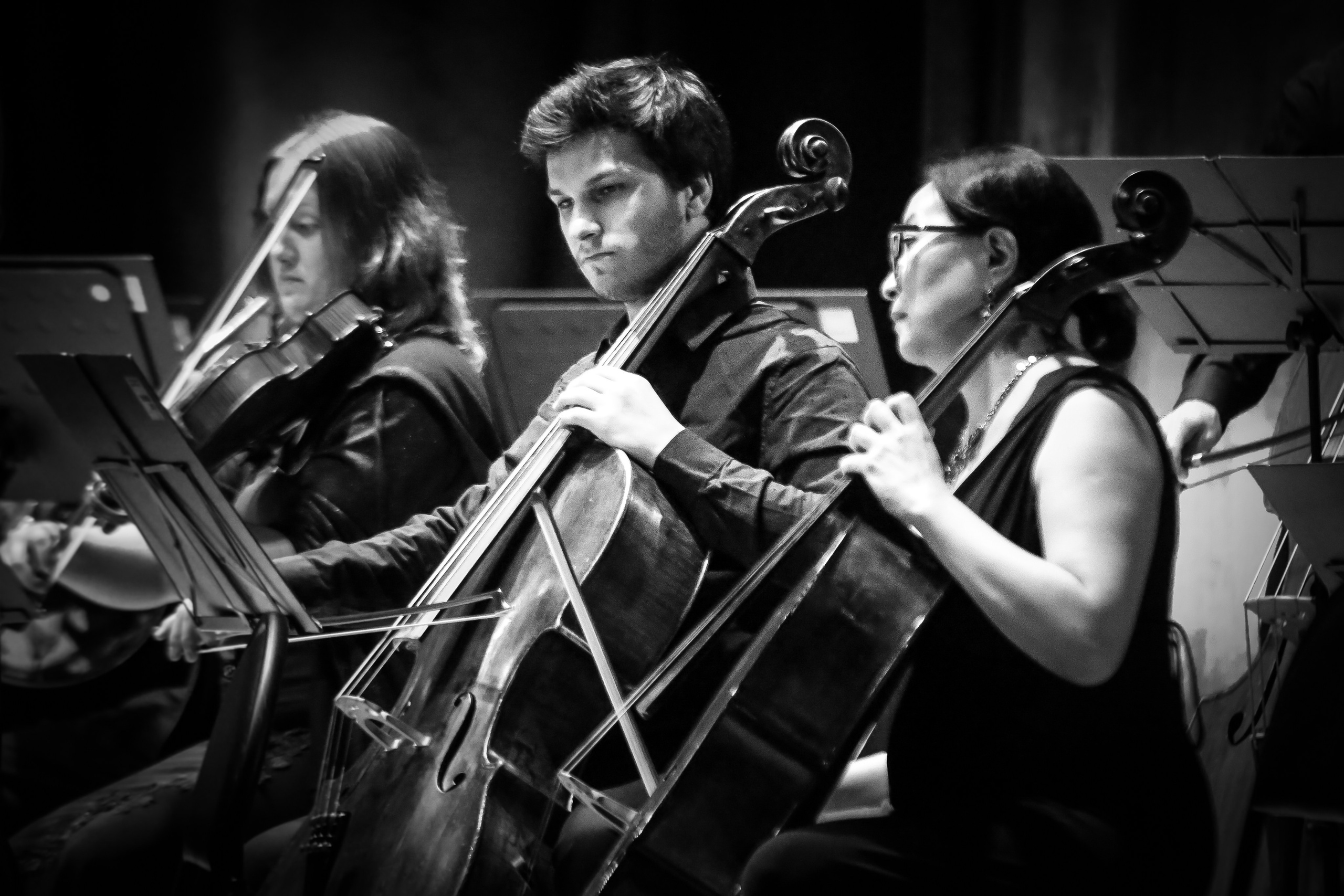 Концерт музыки Бетховена в Калужской филармонии. Дарья Письменюк / Darya Leitstern — фотограф, музыкант, журналист, путешественник